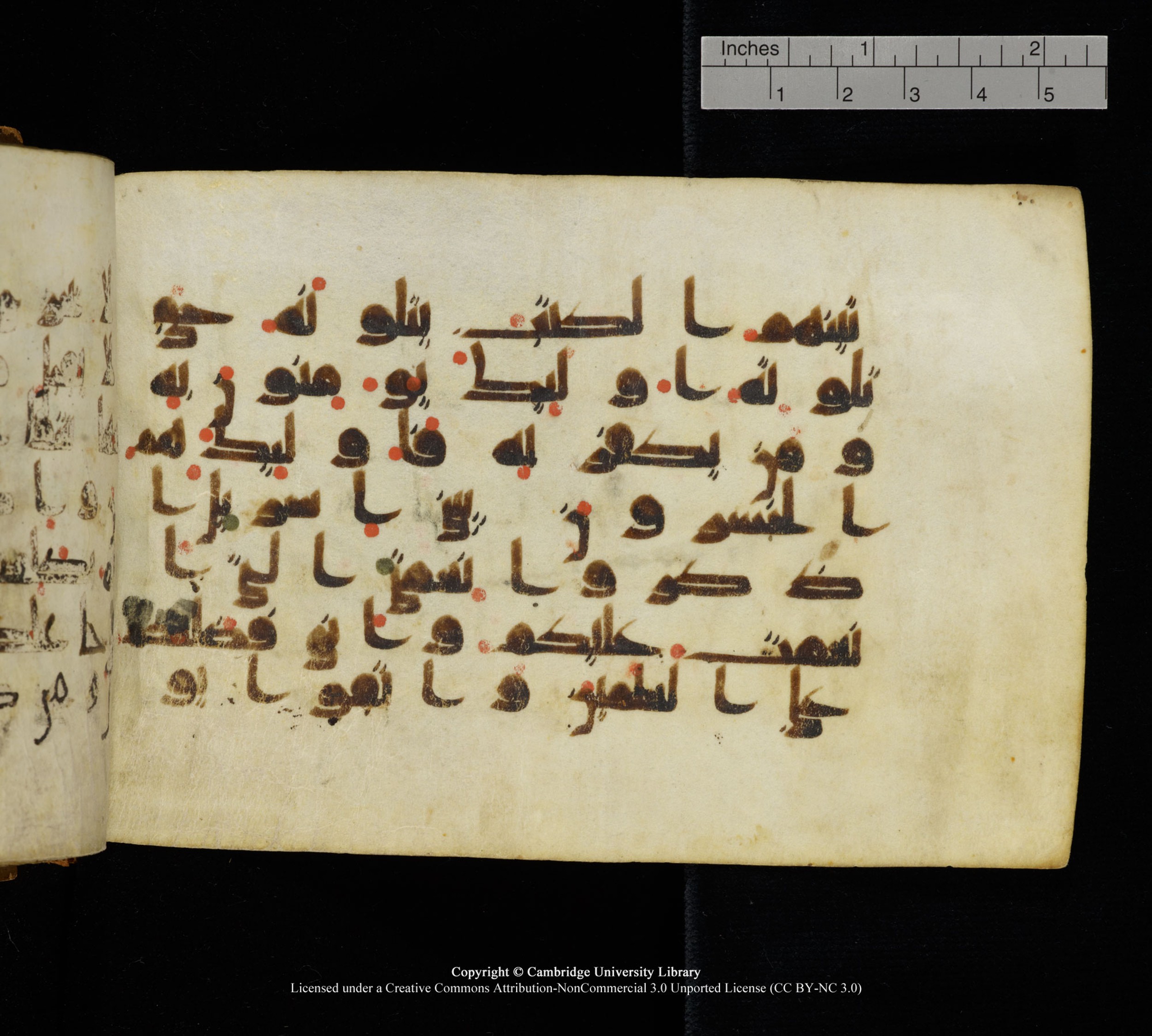 Cambridge, Cambridge University Library, MS Add.1111 (Scan 2), in kūfī D.I / D.IV script, showing Surah 2:121 from 9th or 10th Century AD found in Sinai Peninsula, currently housed at Cambridge University Library, Cambridge