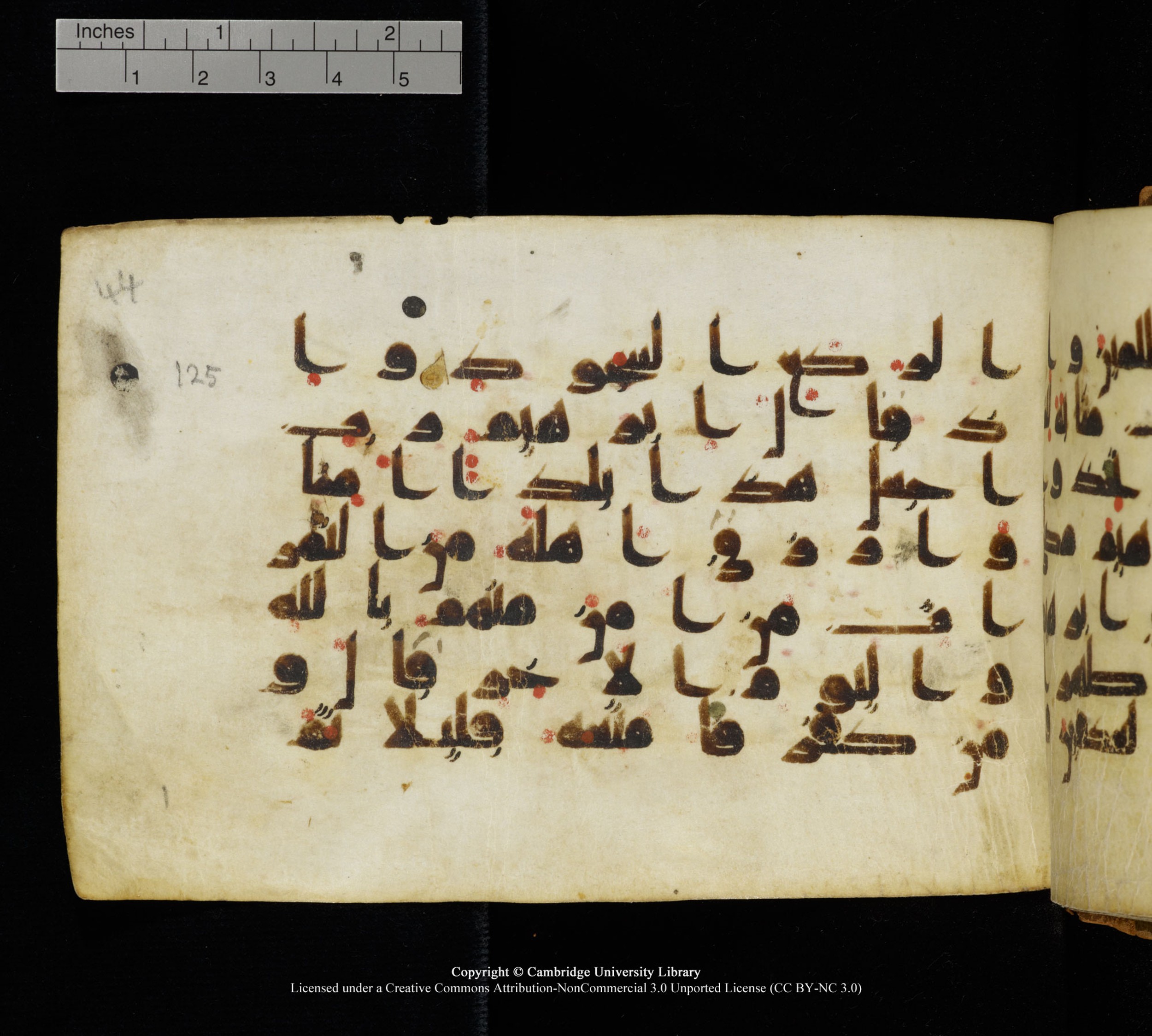 Cambridge, Cambridge University Library, MS Add.1111 (Scan 2), in kūfī D.I / D.IV script, showing Surah 2:125 from 9th or 10th Century AD found in Sinai Peninsula, currently housed at Cambridge University Library, Cambridge