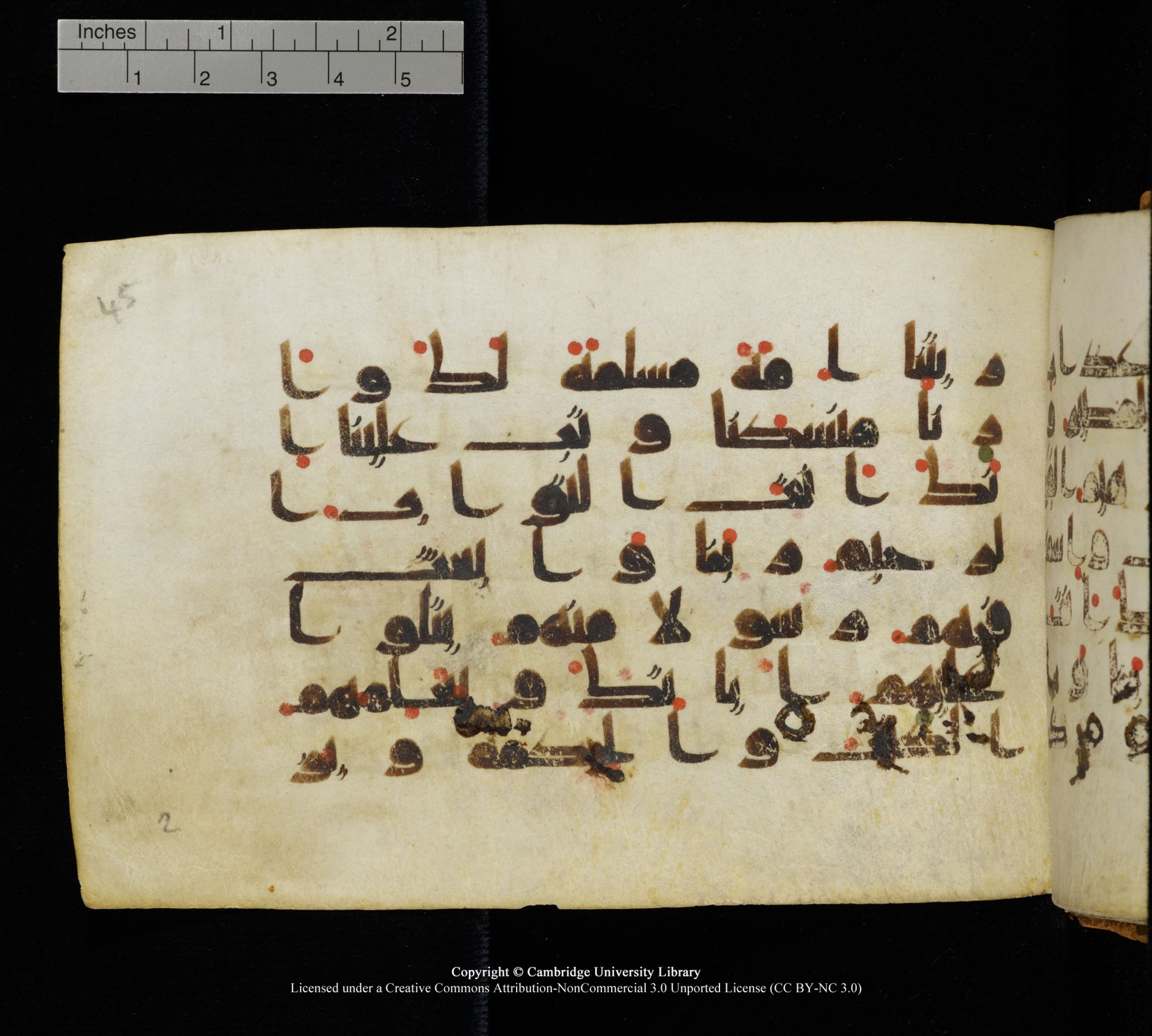 Cambridge, Cambridge University Library, MS Add.1111 (Scan 2), in kūfī D.I / D.IV script, showing Surah 2:128 from 9th or 10th Century AD found in Sinai Peninsula, currently housed at Cambridge University Library, Cambridge