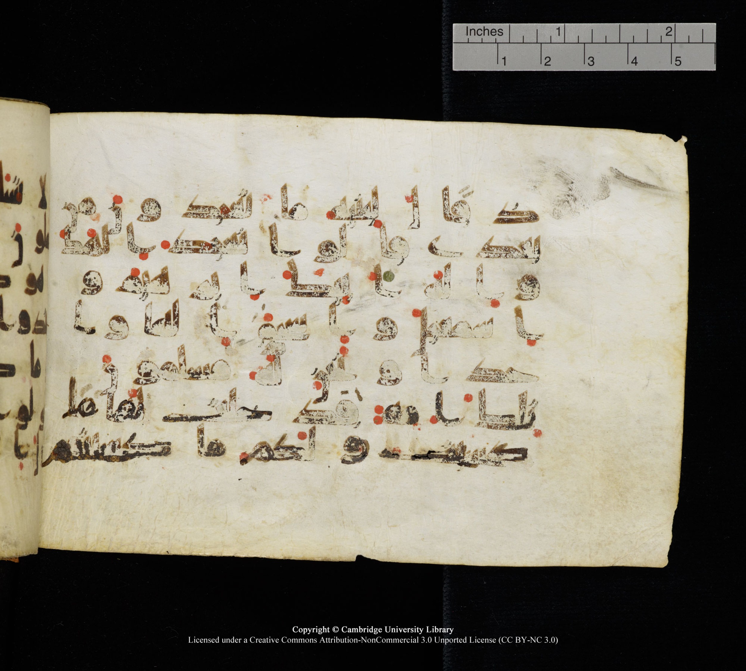 Cambridge, Cambridge University Library, MS Add.1111 (Scan 2), in kūfī D.I / D.IV script, showing Surah 2:133 from 9th or 10th Century AD found in Sinai Peninsula, currently housed at Cambridge University Library, Cambridge