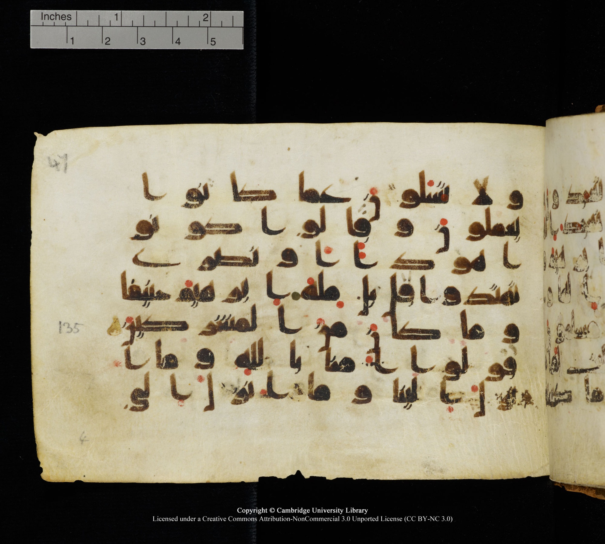 Cambridge, Cambridge University Library, MS Add.1111 (Scan 2), in kūfī D.I / D.IV script, showing Surah 2:134 from 9th or 10th Century AD found in Sinai Peninsula, currently housed at Cambridge University Library, Cambridge
