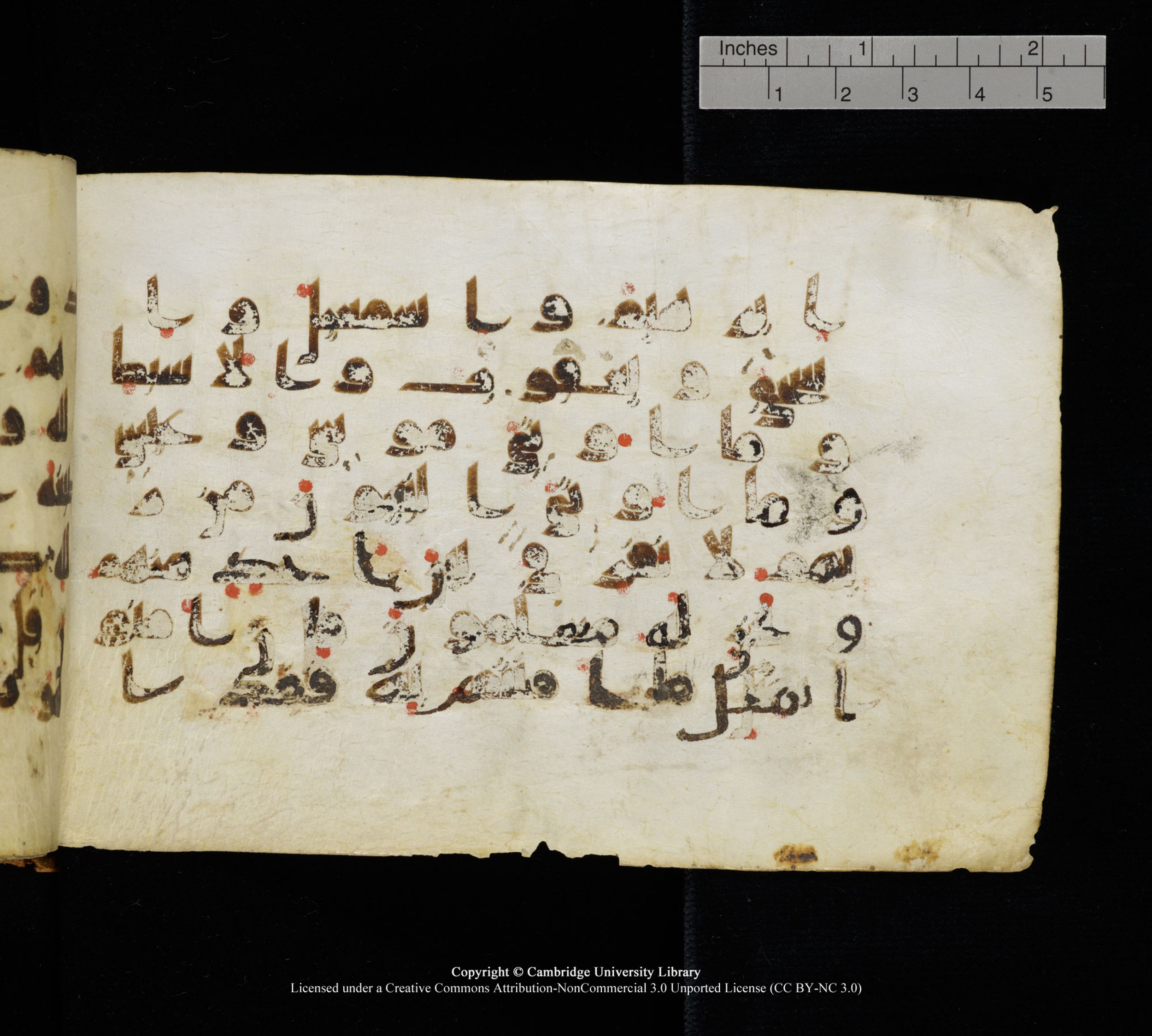 Cambridge, Cambridge University Library, MS Add.1111 (Scan 1), in kūfī D.I / D.IV script, showing Surah 2:137 from 9th or 10th Century AD found in Sinai Peninsula, currently housed at Cambridge University Library, Cambridge