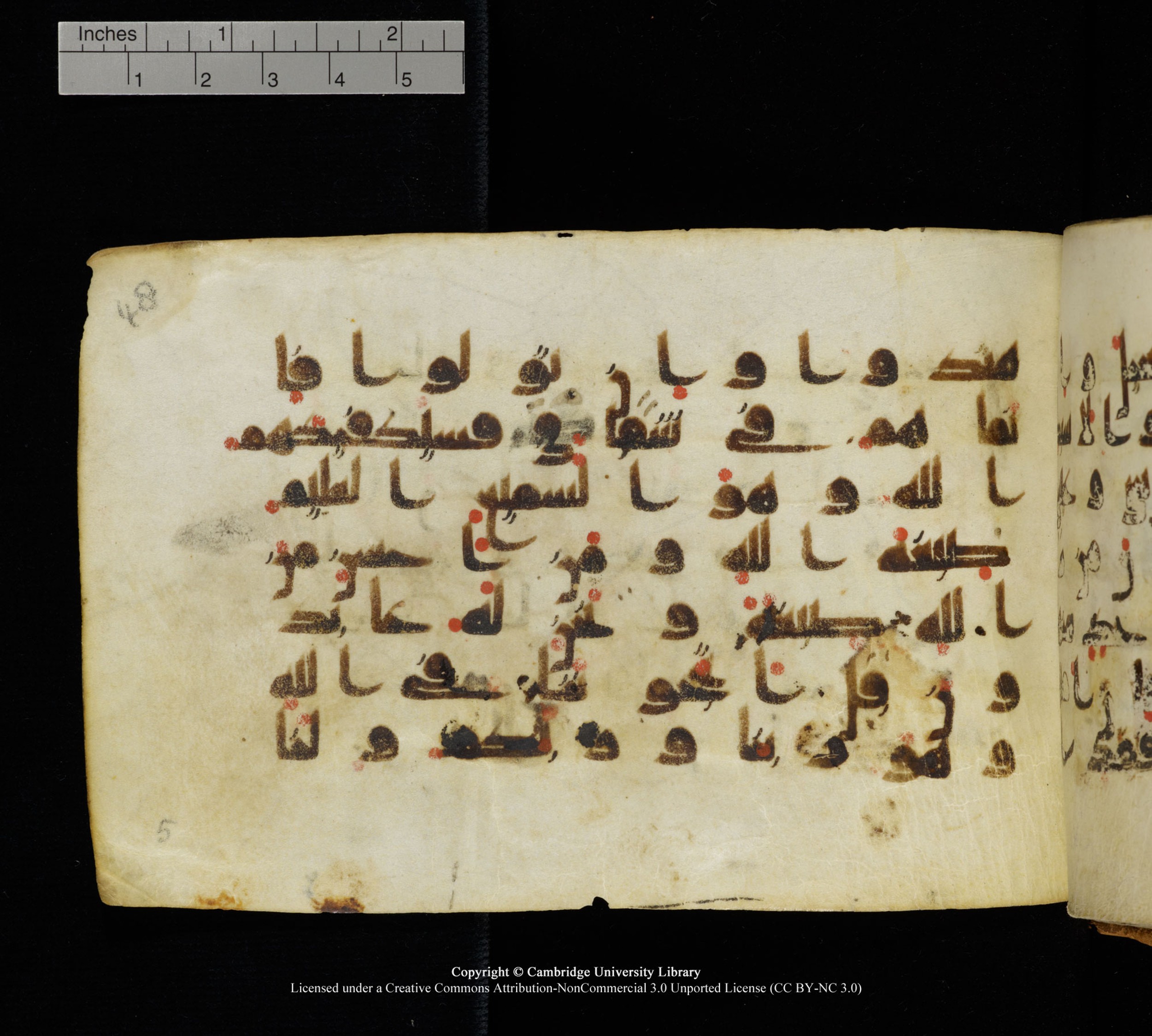 Cambridge, Cambridge University Library, MS Add.1111 (Scan 2), in kūfī D.I / D.IV script, showing Surah 2:137 from 9th or 10th Century AD found in Sinai Peninsula, currently housed at Cambridge University Library, Cambridge