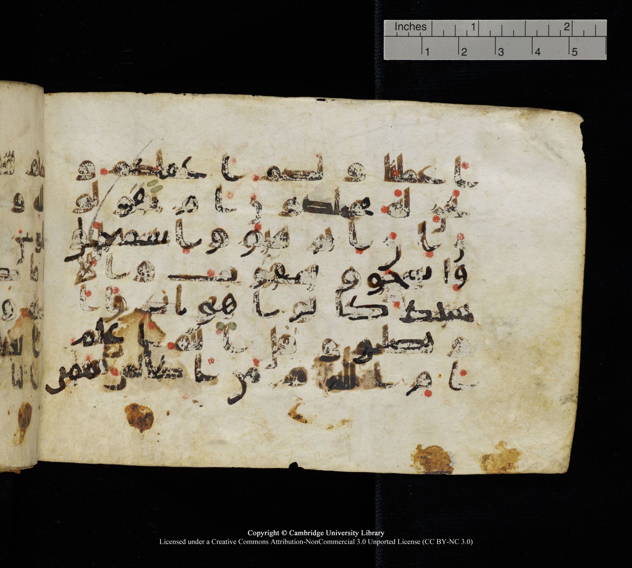 Cambridge, Cambridge University Library, MS Add.1111 (Scan 2), in kūfī D.I / D.IV script, showing Surah 2:139 from 9th or 10th Century AD found in Sinai Peninsula, currently housed at Cambridge University Library, Cambridge
