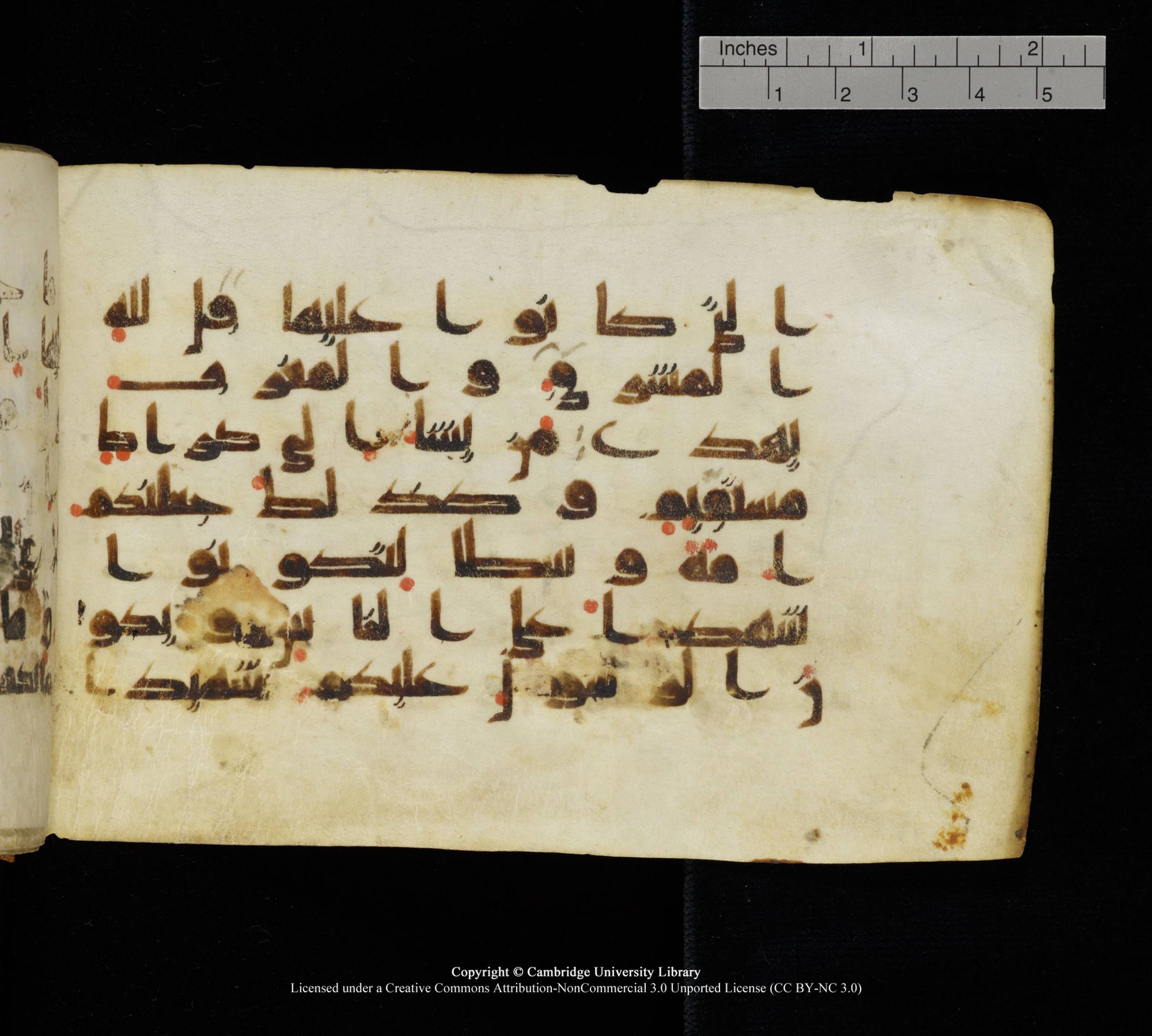 Cambridge, Cambridge University Library, MS Add.1111 (Scan 2), in kūfī D.I / D.IV script, showing Surah 2:142 from 9th or 10th Century AD found in Sinai Peninsula, currently housed at Cambridge University Library, Cambridge