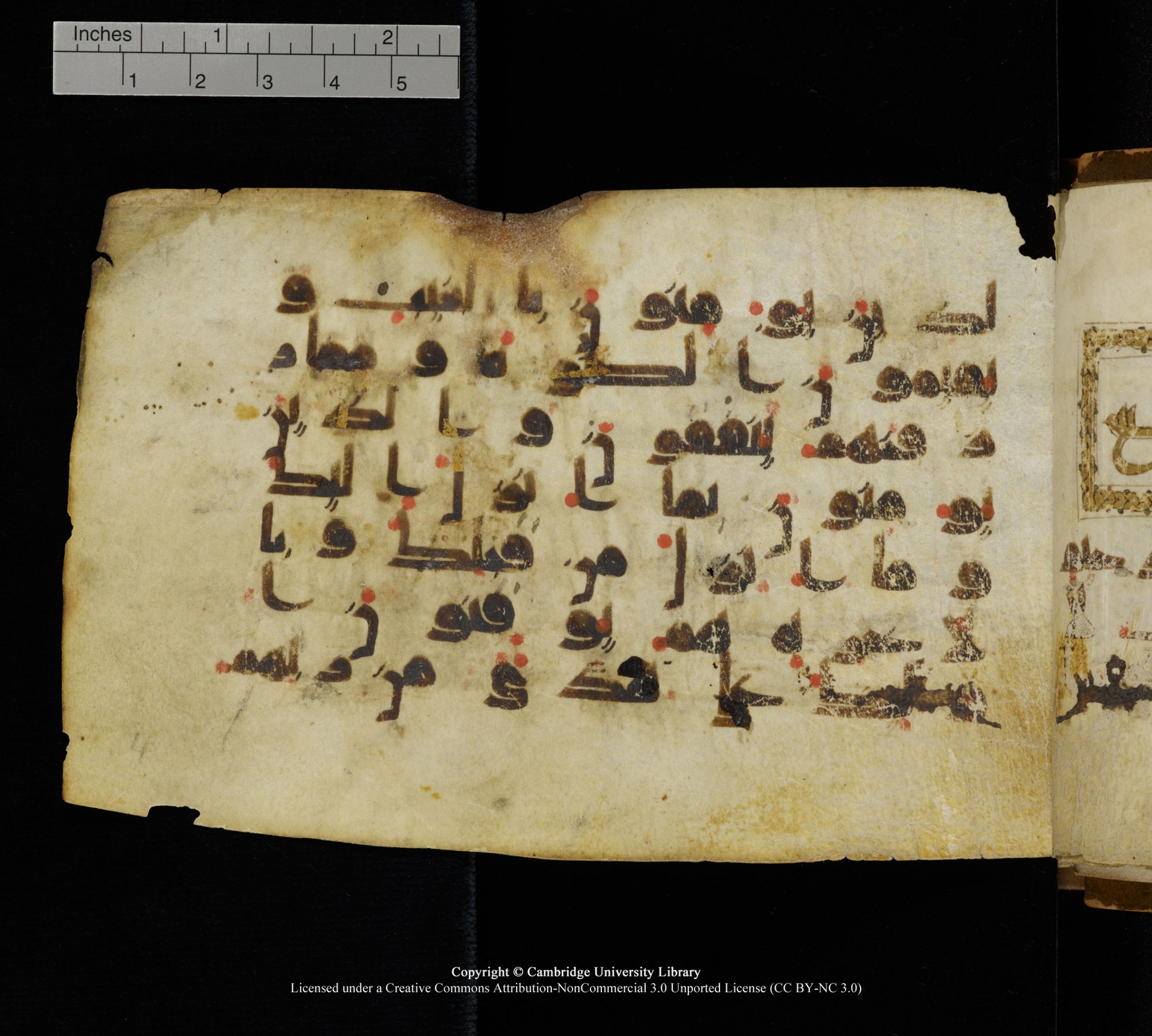 Cambridge, Cambridge University Library, MS Add.1111 (Scan 1), in kūfī D.I / D.IV script, showing Surah 2:5 from 9th or 10th Century AD found in Sinai Peninsula, currently housed at Cambridge University Library, Cambridge