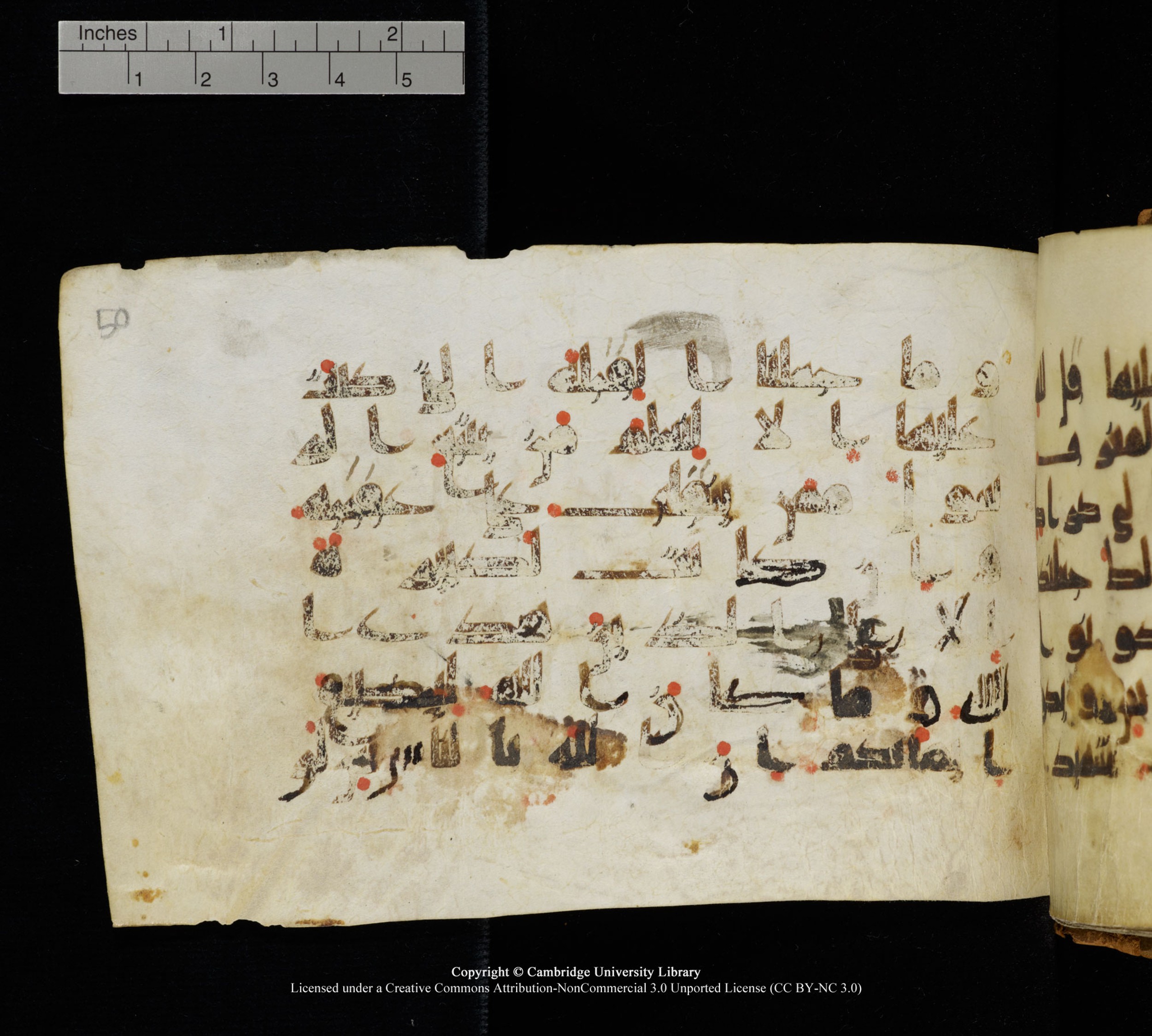 Cambridge, Cambridge University Library, MS Add.1111 (Scan 2), in kūfī D.I / D.IV script, showing Surah 2:143 from 9th or 10th Century AD found in Sinai Peninsula, currently housed at Cambridge University Library, Cambridge