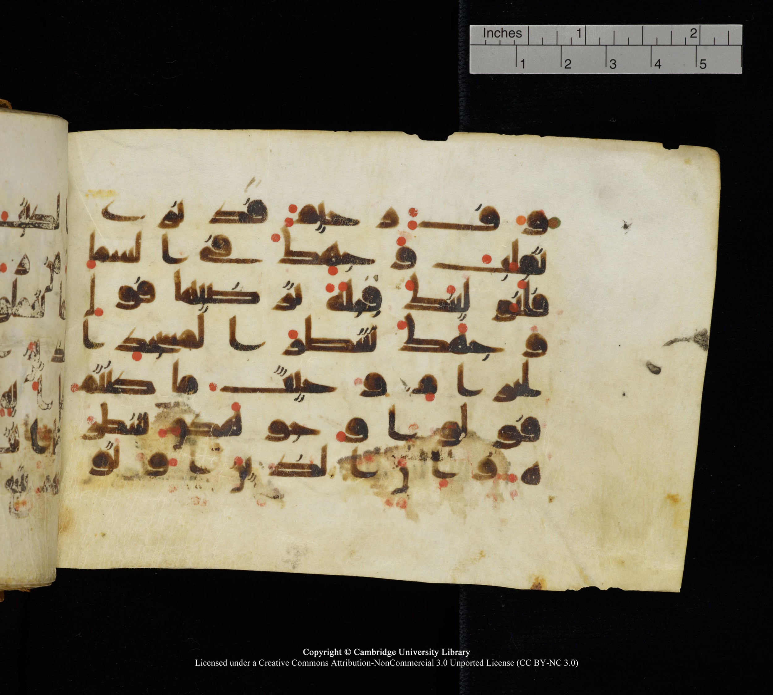 Cambridge, Cambridge University Library, MS Add.1111 (Scan 1), in kūfī D.I / D.IV script, showing Surah 2:144 from 9th or 10th Century AD found in Sinai Peninsula, currently housed at Cambridge University Library, Cambridge