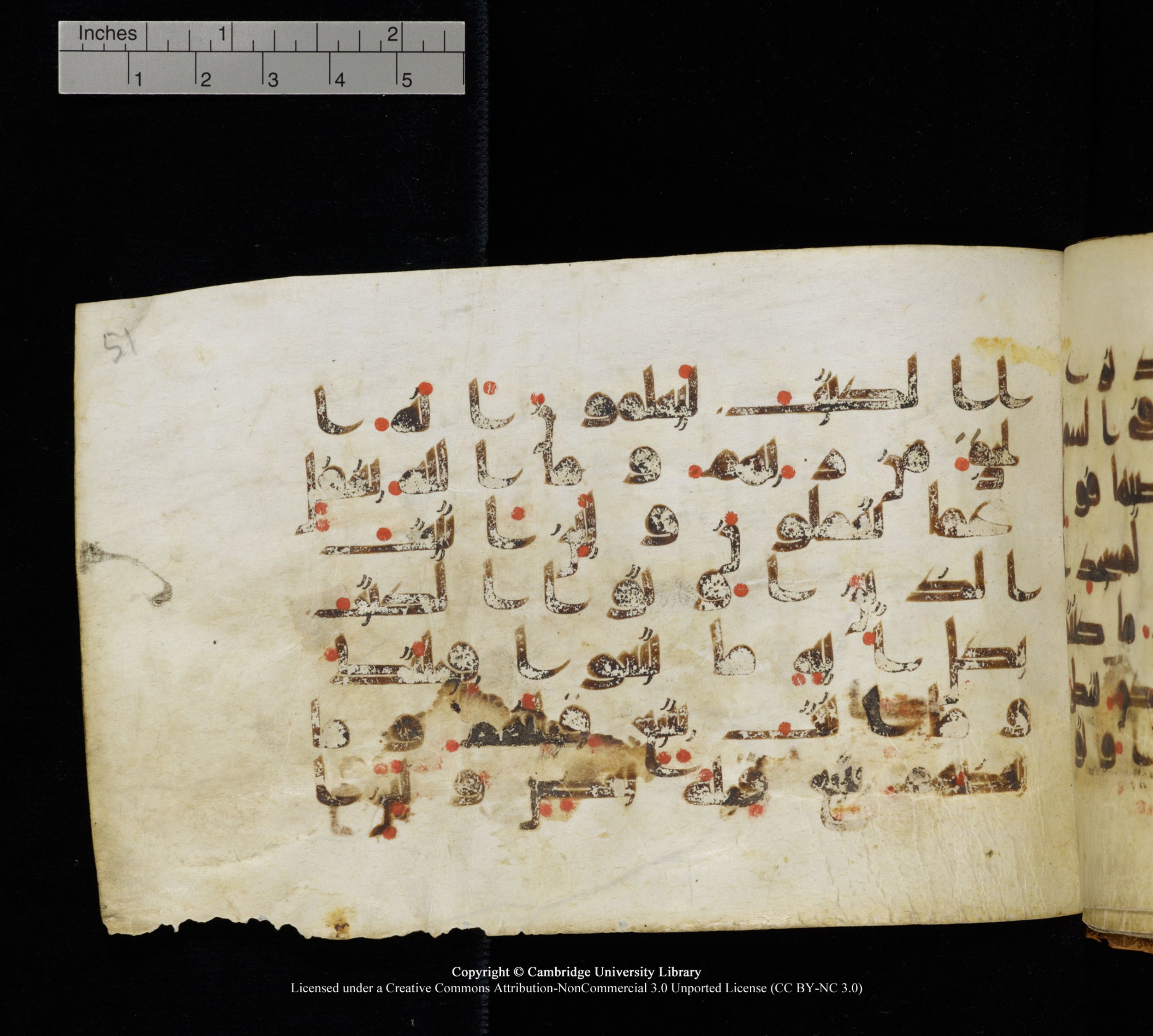 Cambridge, Cambridge University Library, MS Add.1111 (Scan 1), in kūfī D.I / D.IV script, showing Surah 2:145 from 9th or 10th Century AD found in Sinai Peninsula, currently housed at Cambridge University Library, Cambridge