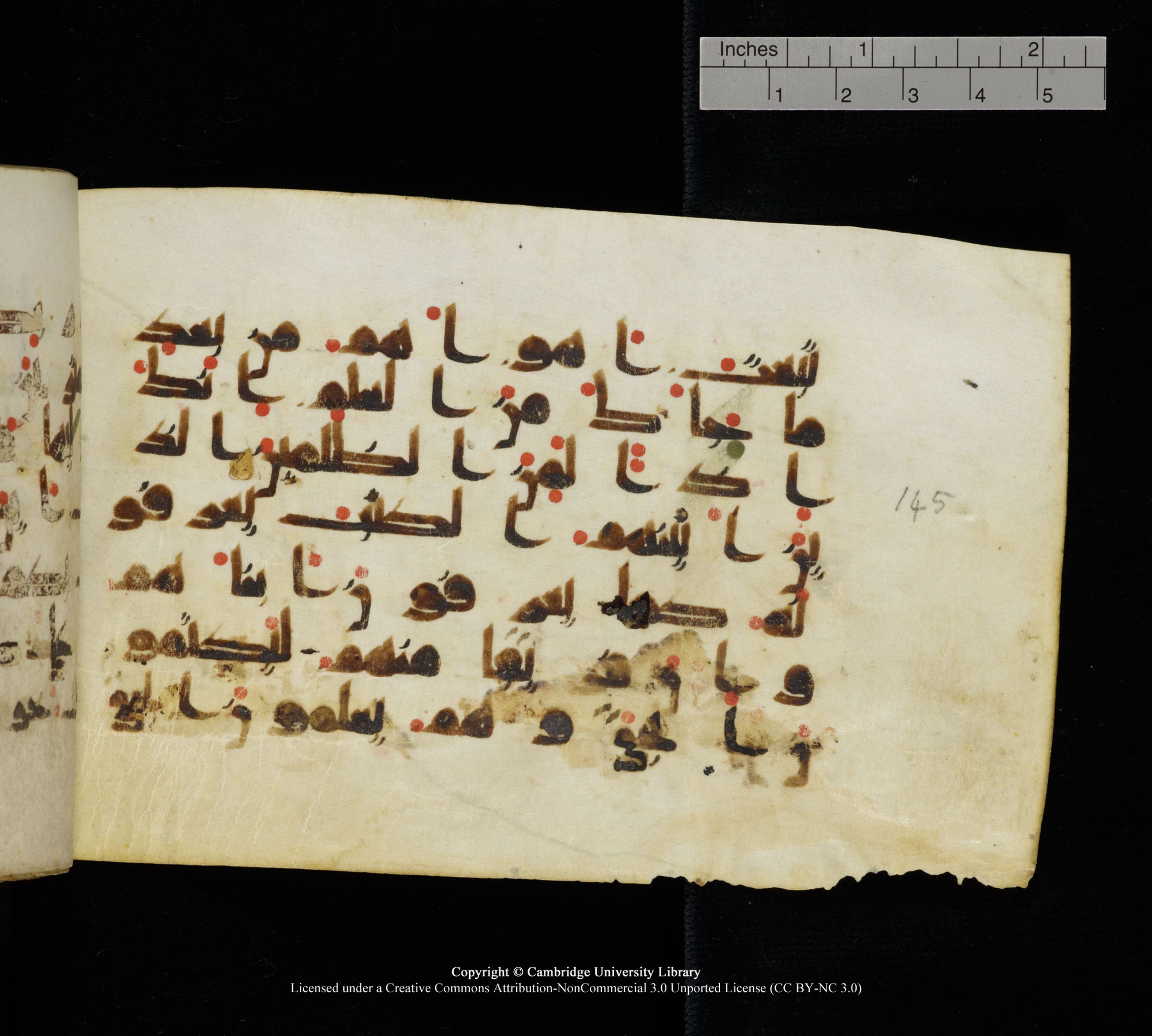 Cambridge, Cambridge University Library, MS Add.1111 (Scan 1), in kūfī D.I / D.IV script, showing Surah 2:147 from 9th or 10th Century AD found in Sinai Peninsula, currently housed at Cambridge University Library, Cambridge