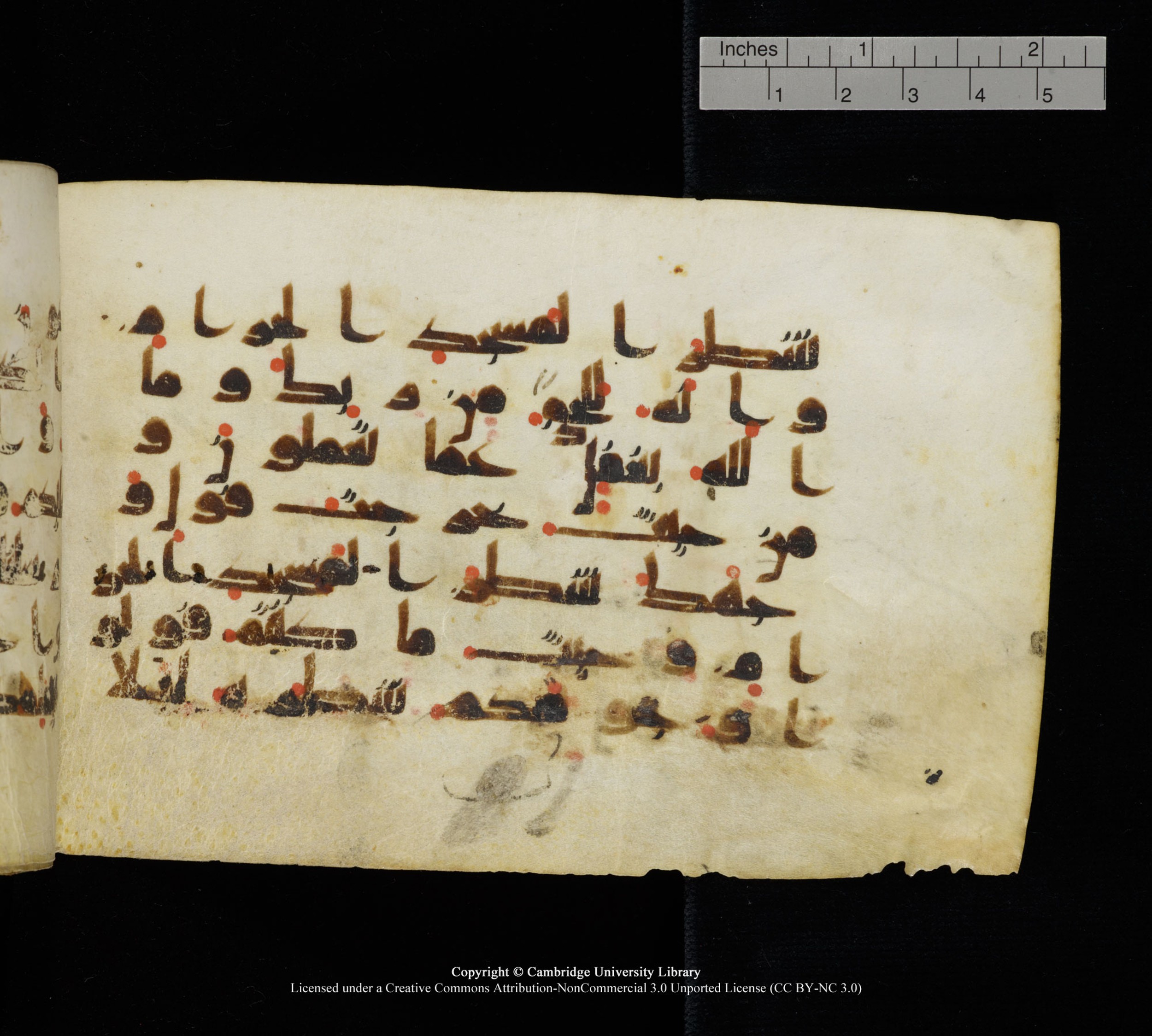 Cambridge, Cambridge University Library, MS Add.1111 (Scan 2), in kūfī D.I / D.IV script, showing Surah 2:149 from 9th or 10th Century AD found in Sinai Peninsula, currently housed at Cambridge University Library, Cambridge