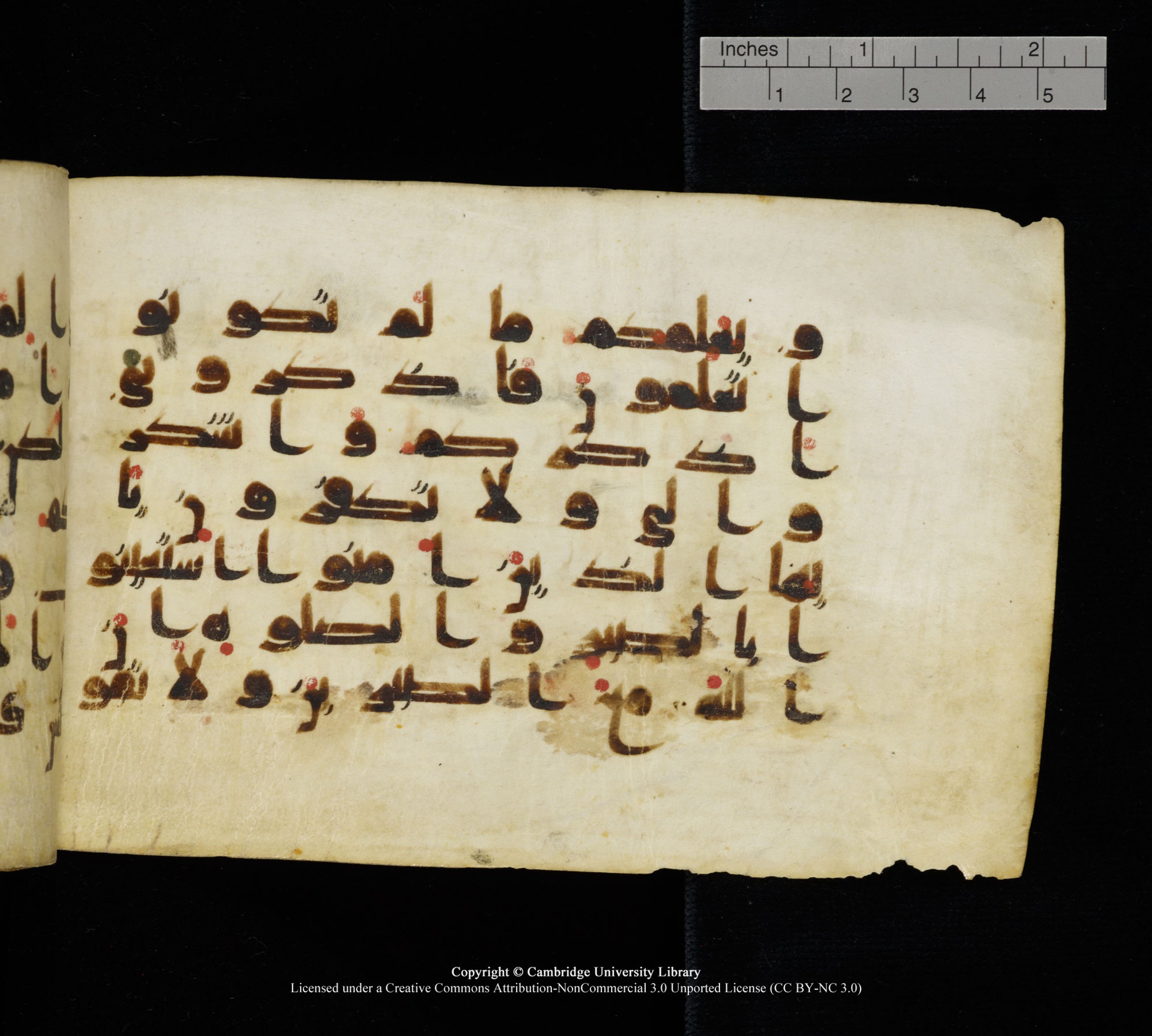Cambridge, Cambridge University Library, MS Add.1111 (Scan 2), in kūfī D.I / D.IV script, showing Surah 2:151 from 9th or 10th Century AD found in Sinai Peninsula, currently housed at Cambridge University Library, Cambridge
