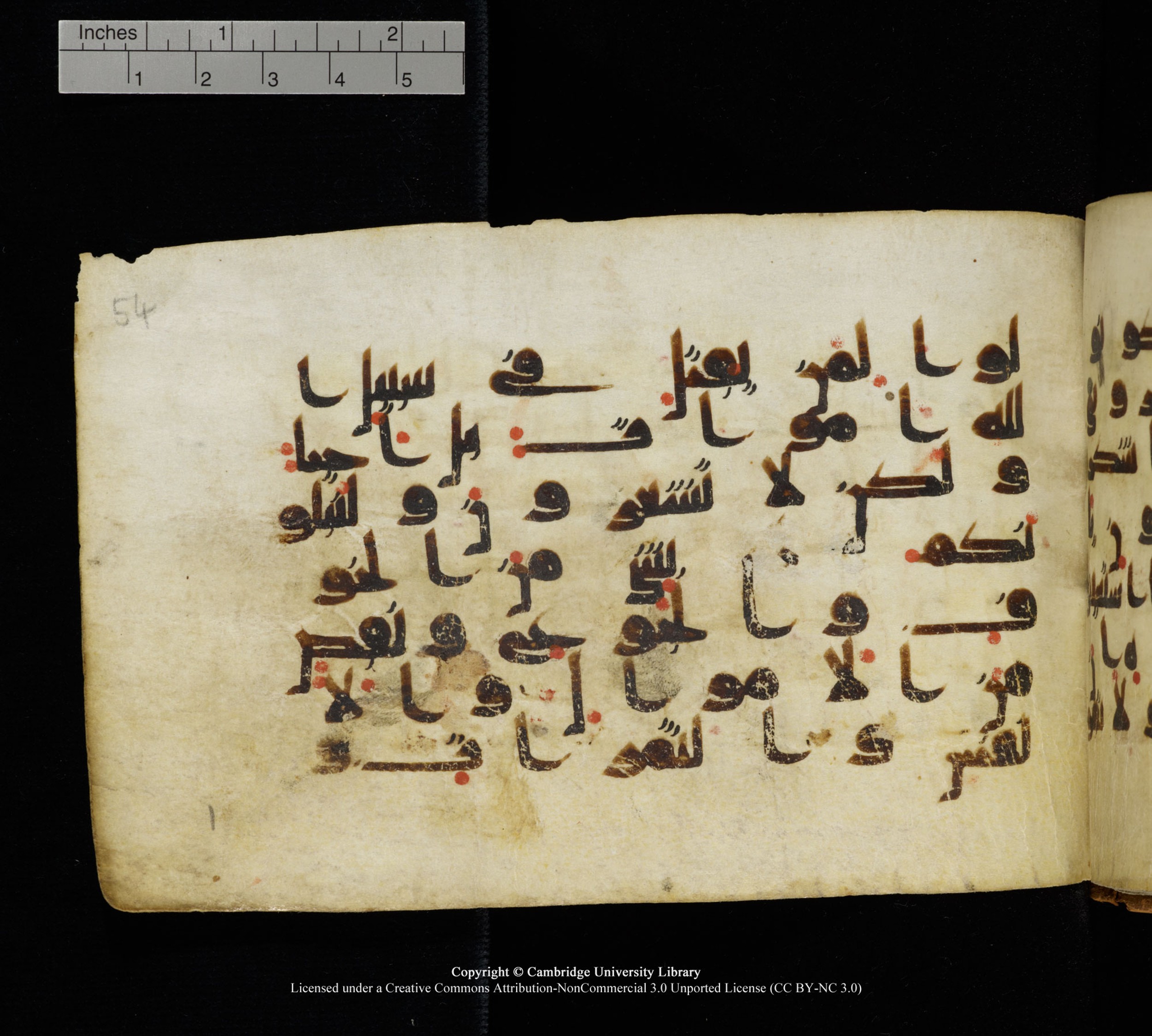 Cambridge, Cambridge University Library, MS Add.1111 (Scan 1), in kūfī D.I / D.IV script, showing Surah 2:155 from 9th or 10th Century AD found in Sinai Peninsula, currently housed at Cambridge University Library, Cambridge