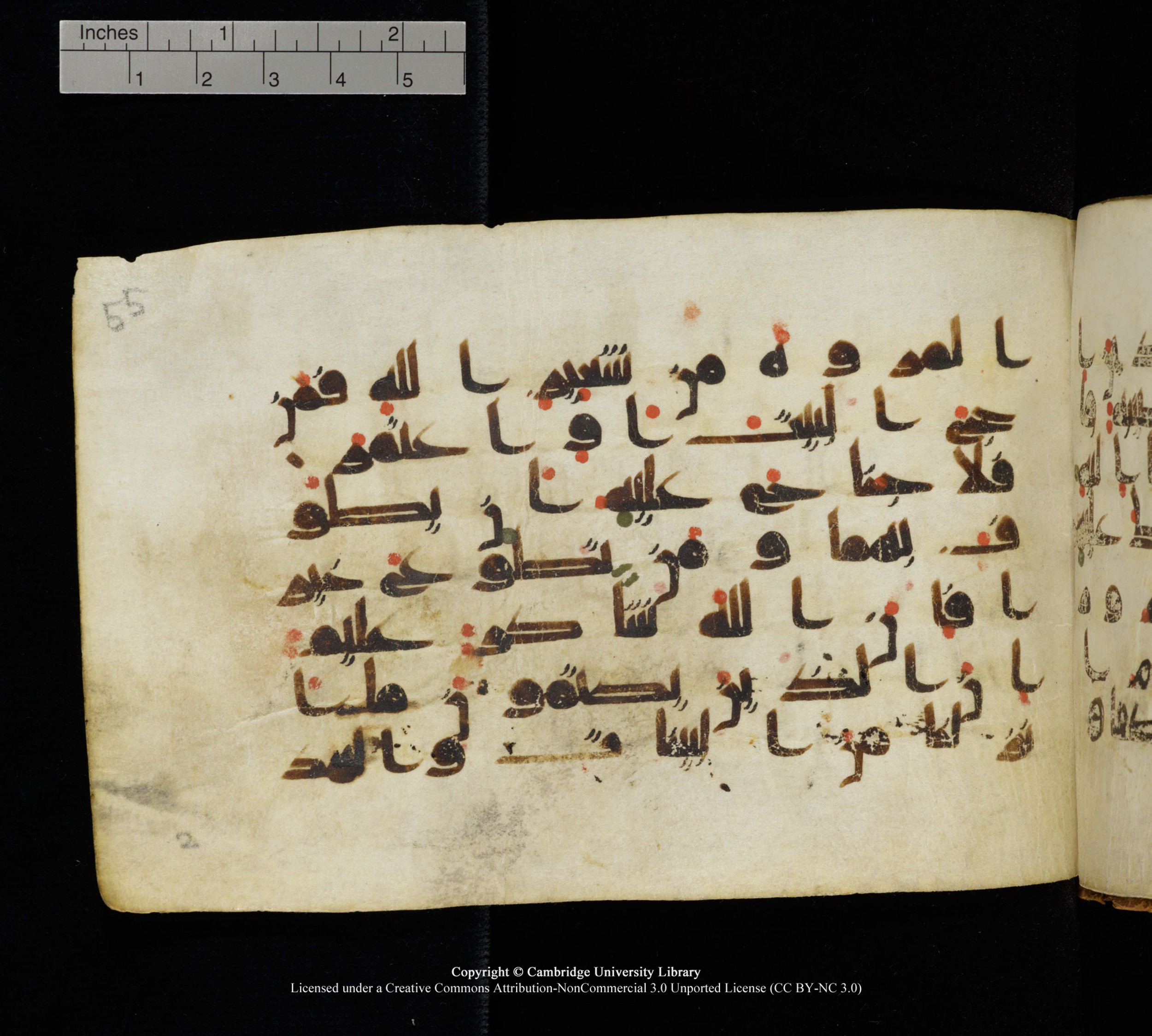 Cambridge, Cambridge University Library, MS Add.1111 (Scan 1), in kūfī D.I / D.IV script, showing Surah 2:159 from 9th or 10th Century AD found in Sinai Peninsula, currently housed at Cambridge University Library, Cambridge
