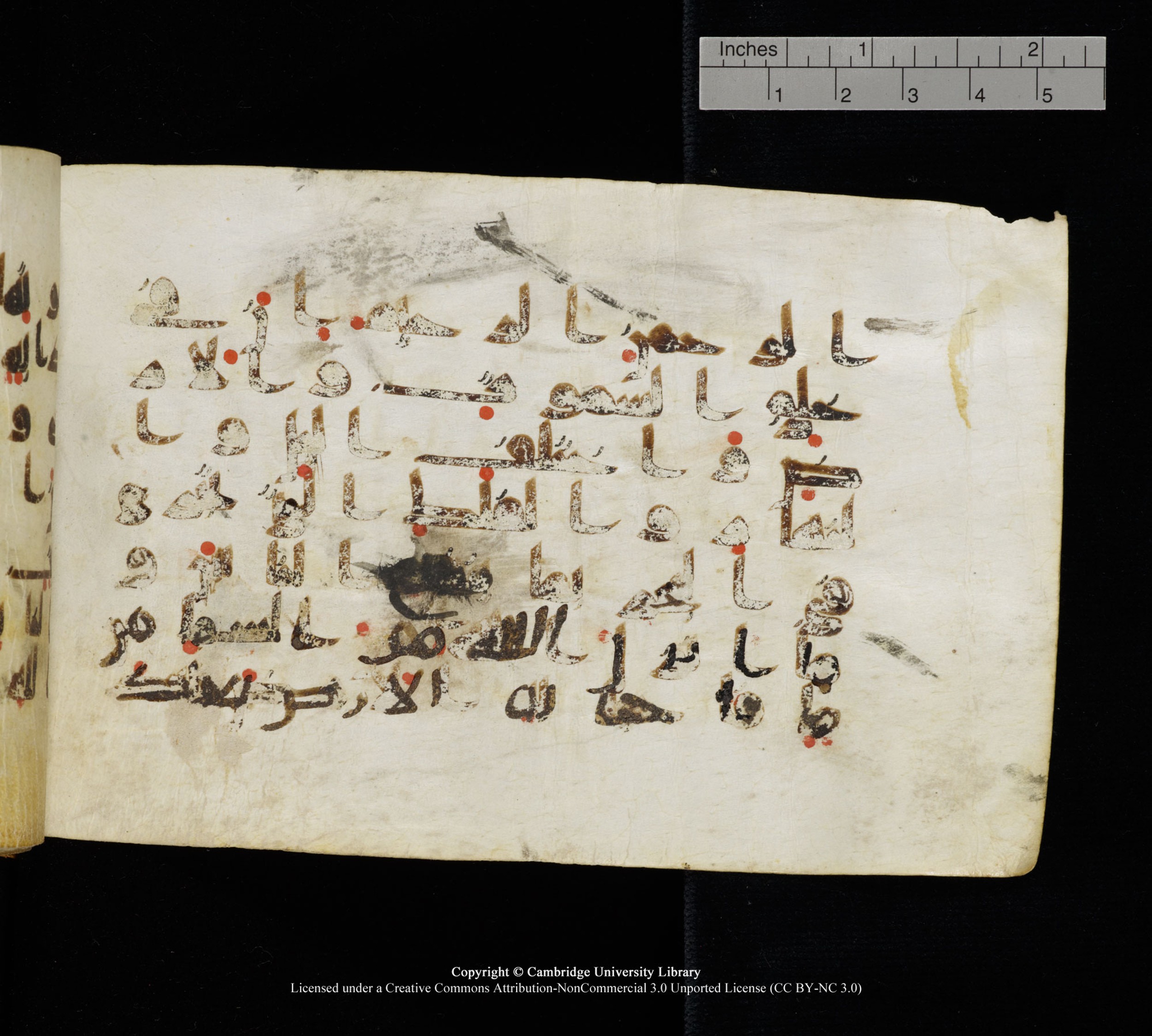 Cambridge, Cambridge University Library, MS Add.1111 (Scan 1), in kūfī D.I / D.IV script, showing Surah 2:164 from 9th or 10th Century AD found in Sinai Peninsula, currently housed at Cambridge University Library, Cambridge