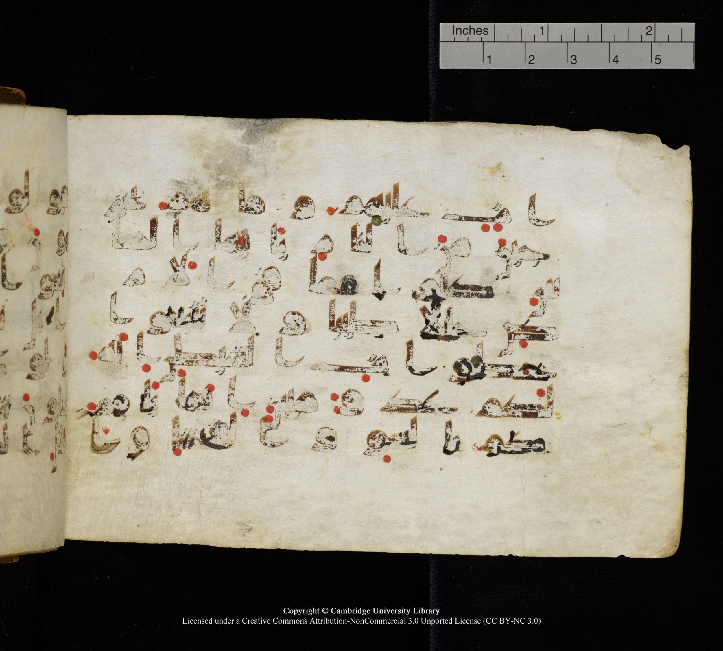 Cambridge, Cambridge University Library, MS Add.1111 (Scan 1), in kūfī D.I / D.IV script, showing Surah 2:169 from 9th or 10th Century AD found in Sinai Peninsula, currently housed at Cambridge University Library, Cambridge