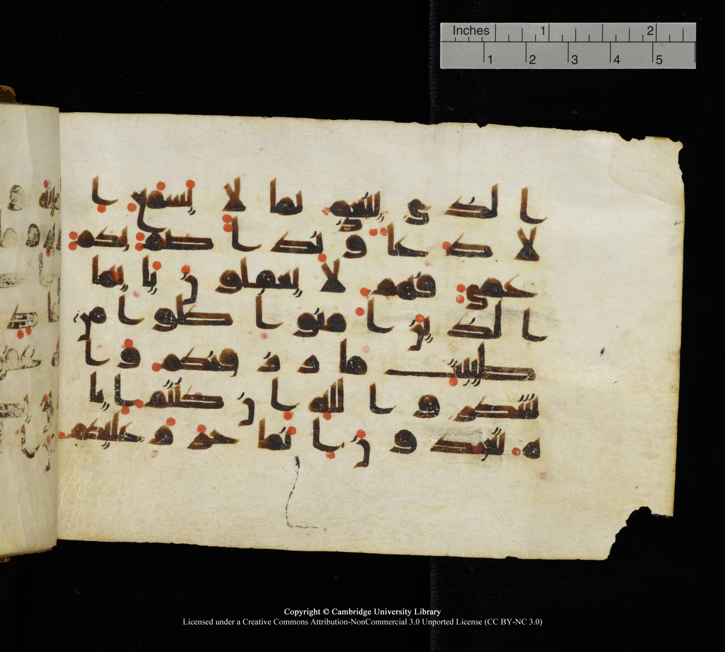 Cambridge, Cambridge University Library, MS Add.1111 (Scan 2), in kūfī D.I / D.IV script, showing Surah 2:171 from 9th or 10th Century AD found in Sinai Peninsula, currently housed at Cambridge University Library, Cambridge