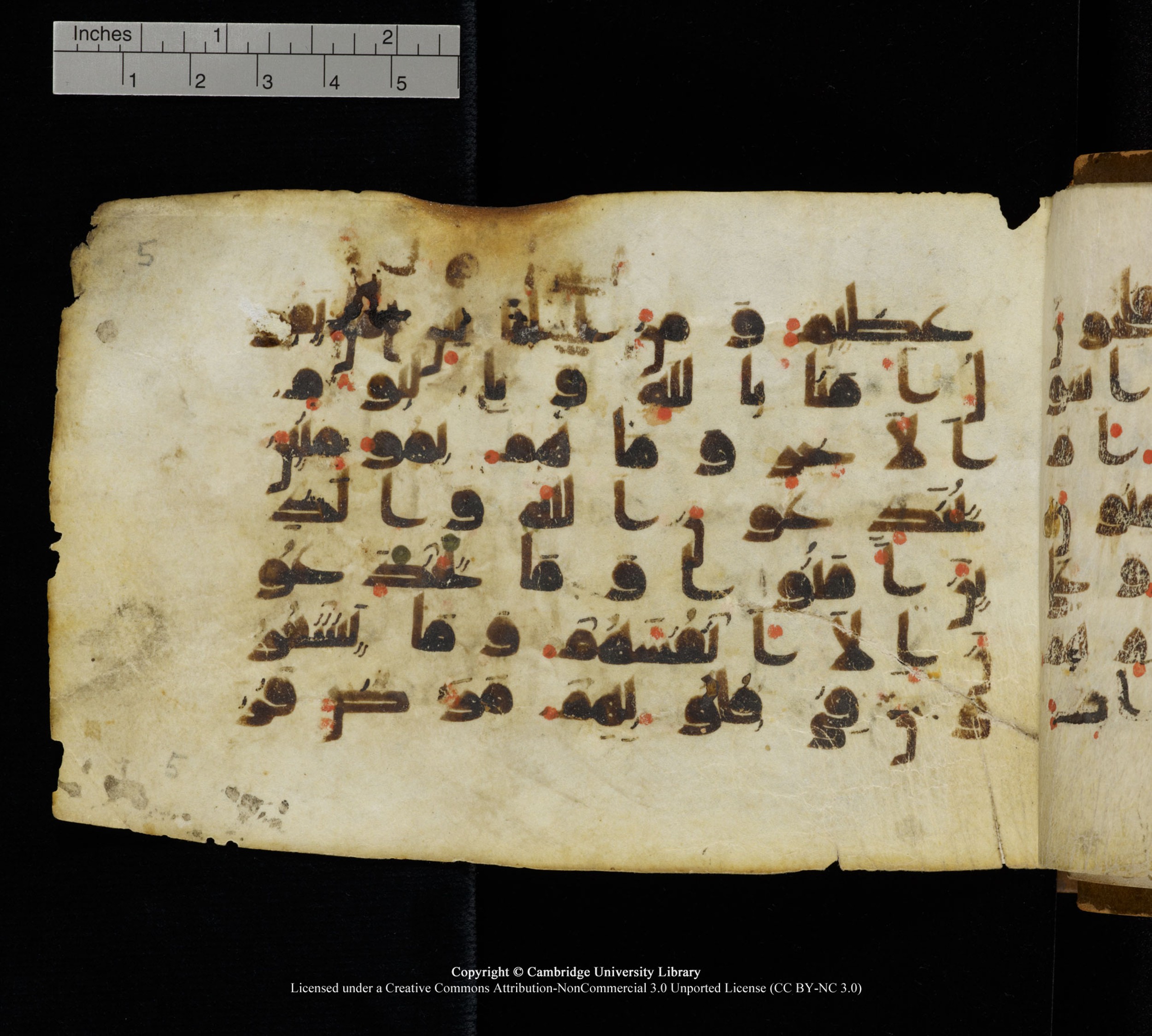 Cambridge, Cambridge University Library, MS Add.1111 (Scan 2), in kūfī D.I / D.IV script, showing Surah 2:7 from 9th or 10th Century AD found in Sinai Peninsula, currently housed at Cambridge University Library, Cambridge