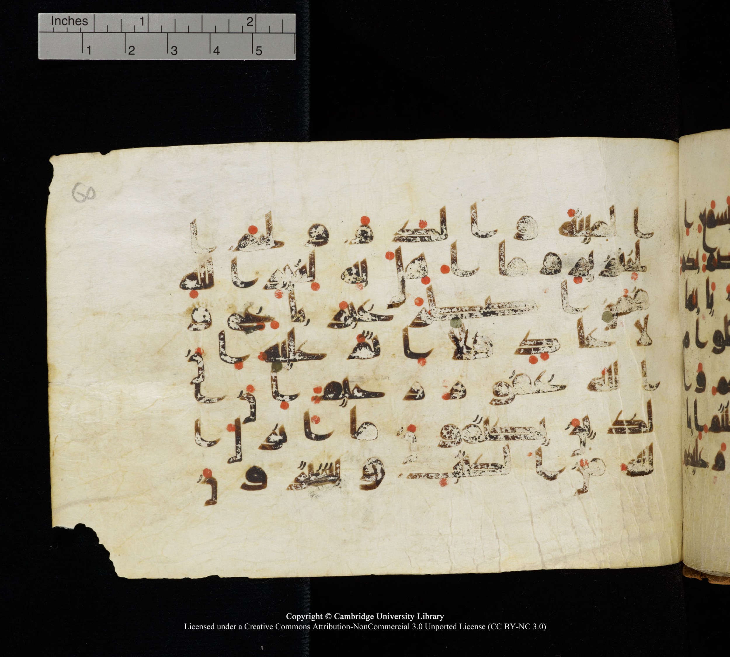 Cambridge, Cambridge University Library, MS Add.1111 (Scan 1), in kūfī D.I / D.IV script, showing Surah 2:174 from 9th or 10th Century AD found in Sinai Peninsula, currently housed at Cambridge University Library, Cambridge