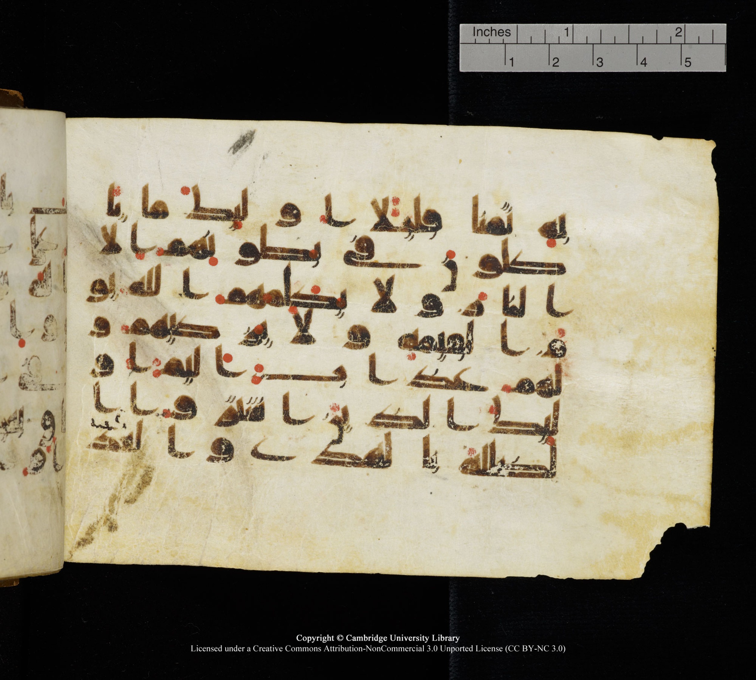 Cambridge, Cambridge University Library, MS Add.1111 (Scan 1), in kūfī D.I / D.IV script, showing Surah 2:175 from 9th or 10th Century AD found in Sinai Peninsula, currently housed at Cambridge University Library, Cambridge