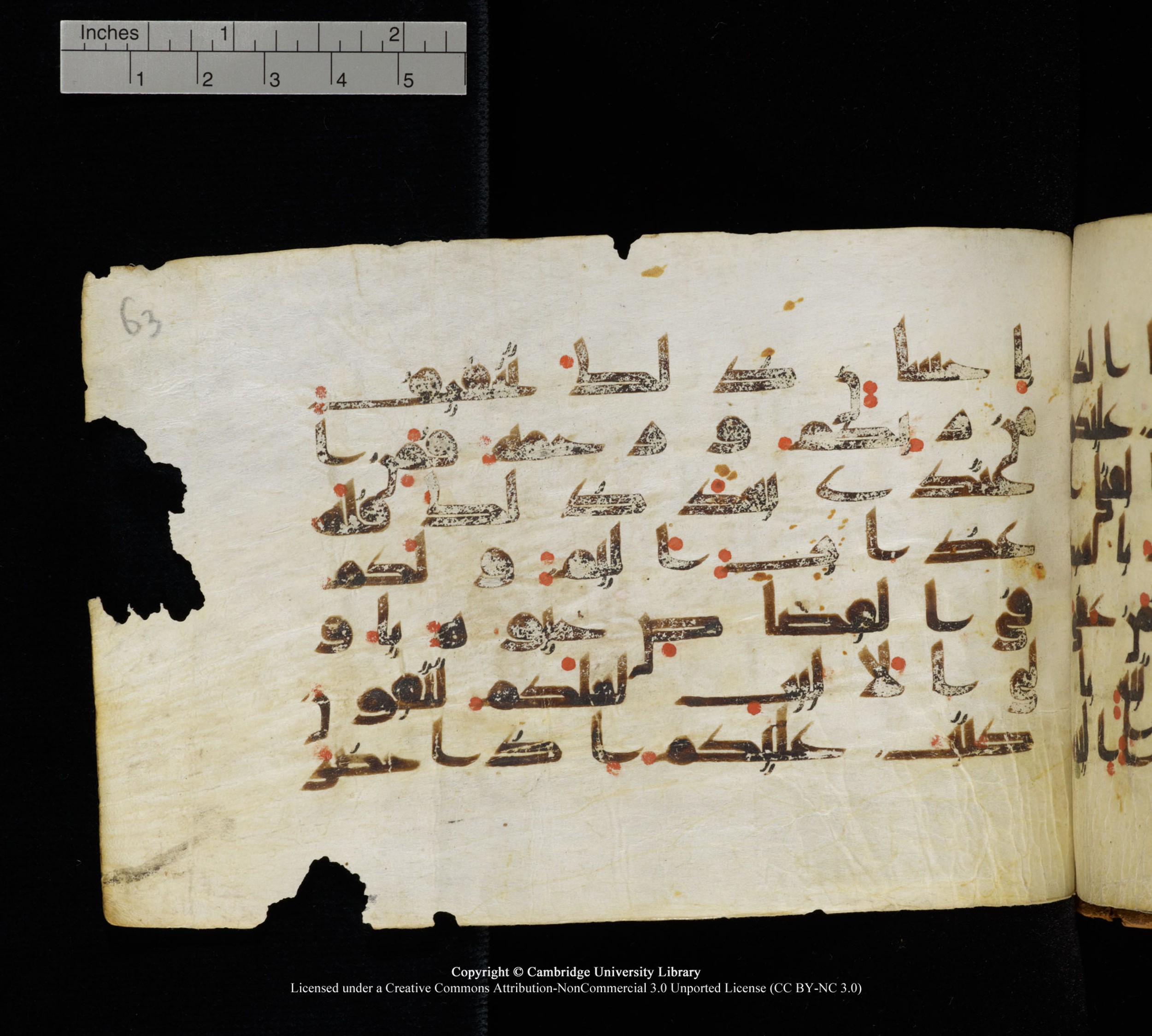 Cambridge, Cambridge University Library, MS Add.1111 (Scan 1), in kūfī D.I / D.IV script, showing Surah 2:180 from 9th or 10th Century AD found in Sinai Peninsula, currently housed at Cambridge University Library, Cambridge