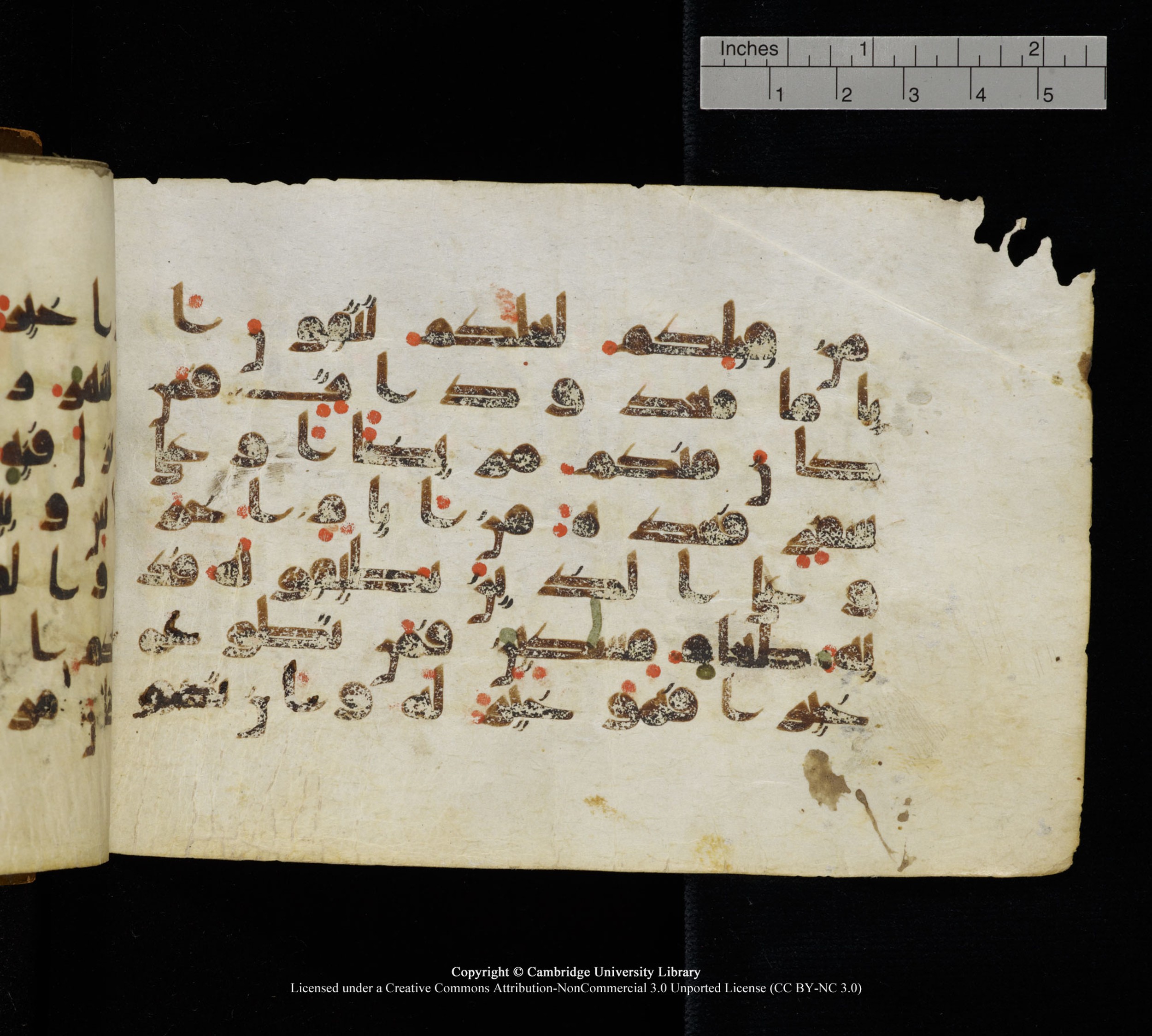 Cambridge, Cambridge University Library, MS Add.1111 (Scan 2), in kūfī D.I / D.IV script, showing Surah 2:183 from 9th or 10th Century AD found in Sinai Peninsula, currently housed at Cambridge University Library, Cambridge