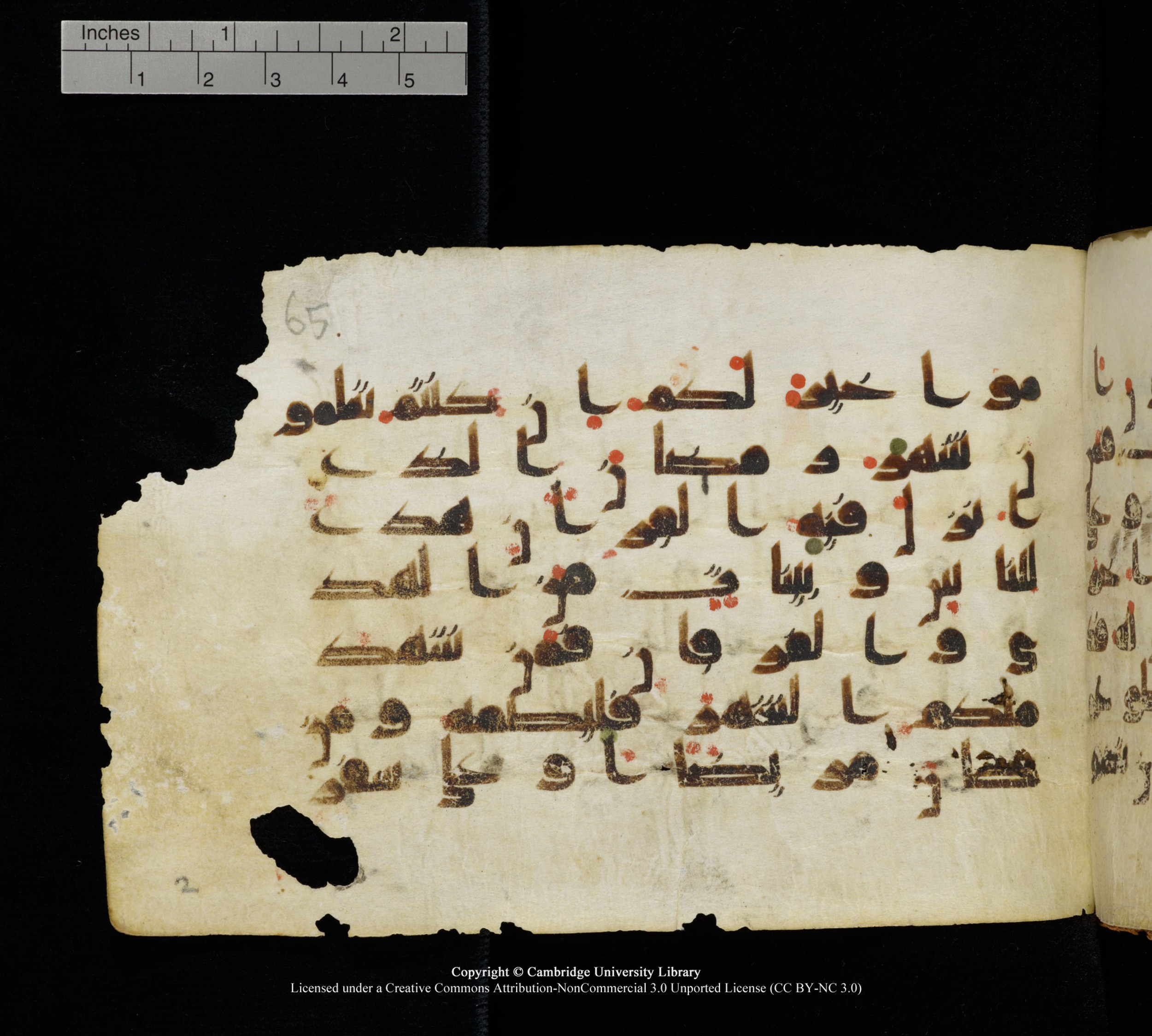 Cambridge, Cambridge University Library, MS Add.1111 (Scan 1), in kūfī D.I / D.IV script, showing Surah 2:185 from 9th or 10th Century AD found in Sinai Peninsula, currently housed at Cambridge University Library, Cambridge