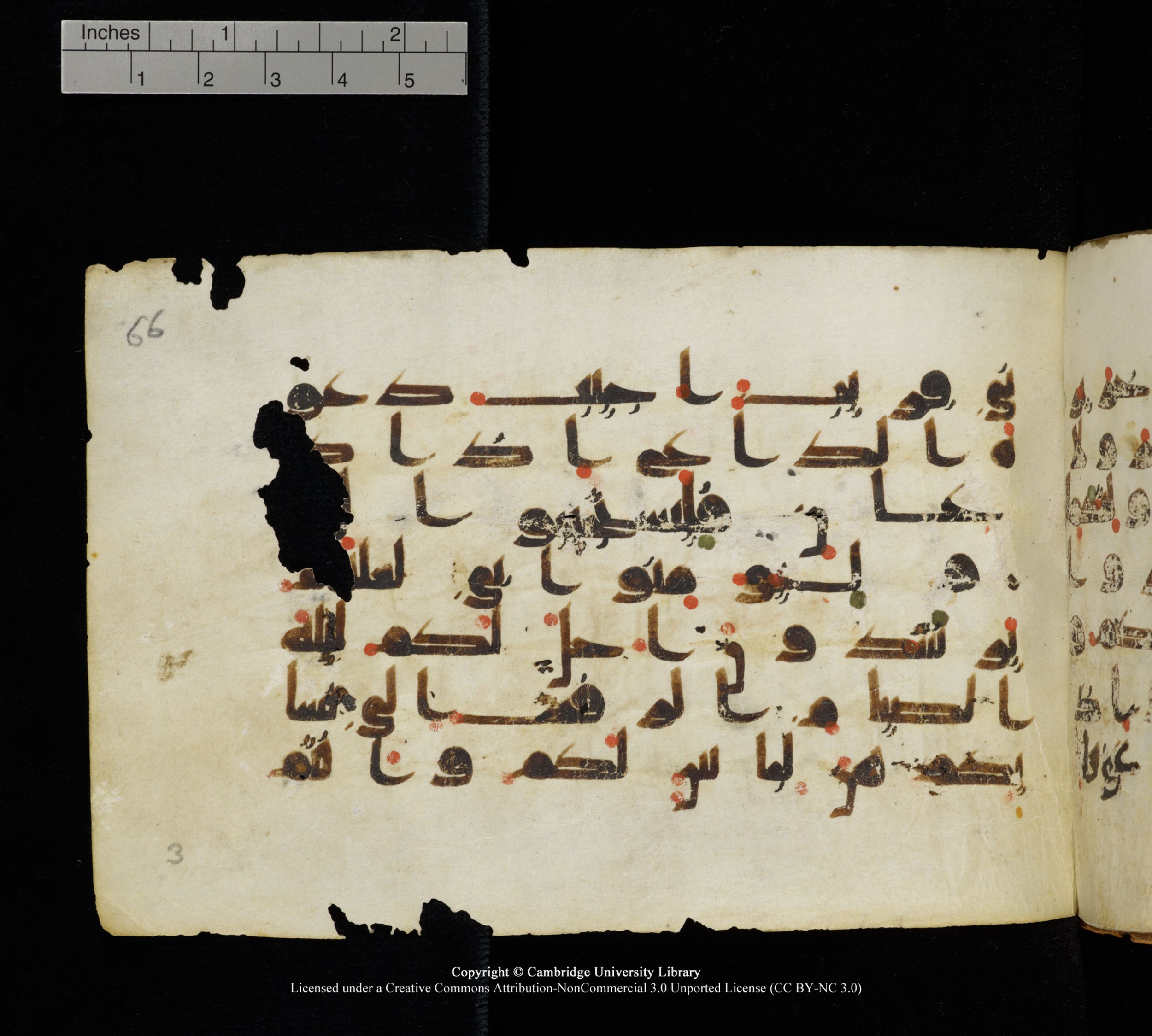 Cambridge, Cambridge University Library, MS Add.1111 (Scan 1), in kūfī D.I / D.IV script, showing Surah 2:187 from 9th or 10th Century AD found in Sinai Peninsula, currently housed at Cambridge University Library, Cambridge