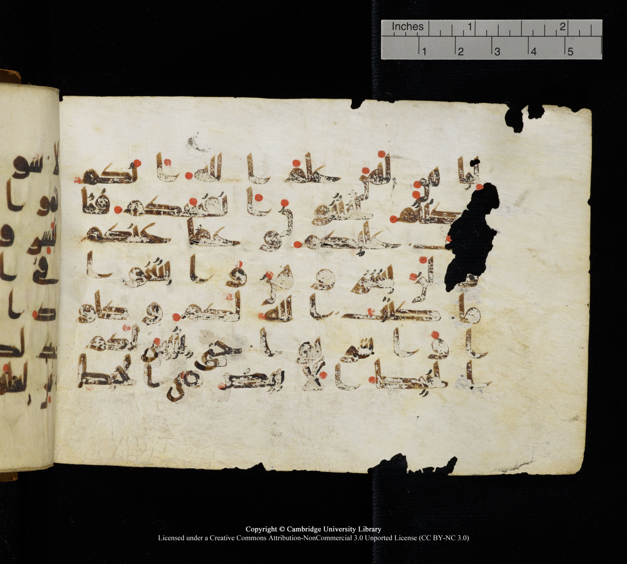 Cambridge, Cambridge University Library, MS Add.1111 (Scan 2), in kūfī D.I / D.IV script, showing Surah 2:187 from 9th or 10th Century AD found in Sinai Peninsula, currently housed at Cambridge University Library, Cambridge
