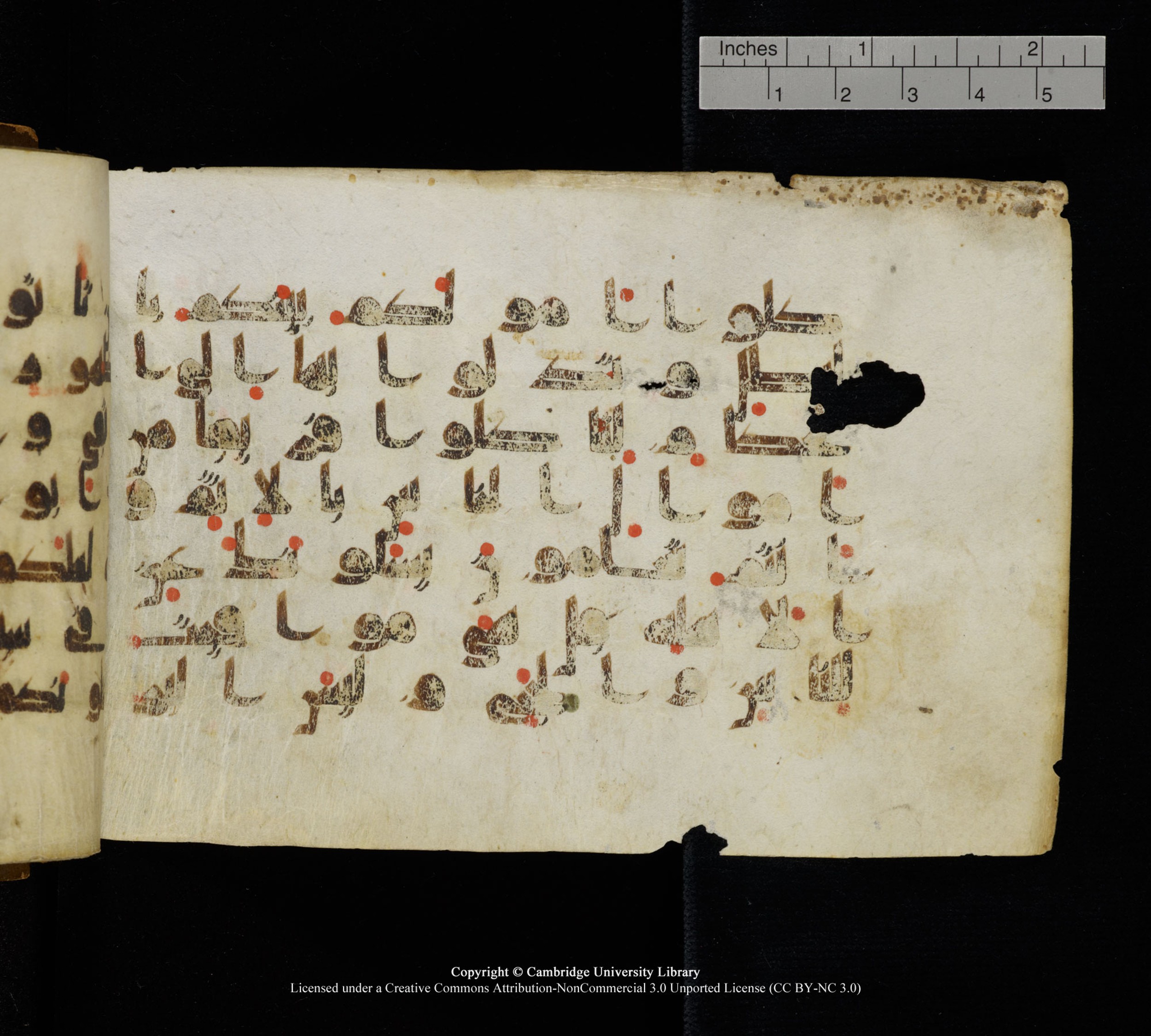 Cambridge, Cambridge University Library, MS Add.1111 (Scan 1), in kūfī D.I / D.IV script, showing Surah 2:189 from 9th or 10th Century AD found in Sinai Peninsula, currently housed at Cambridge University Library, Cambridge
