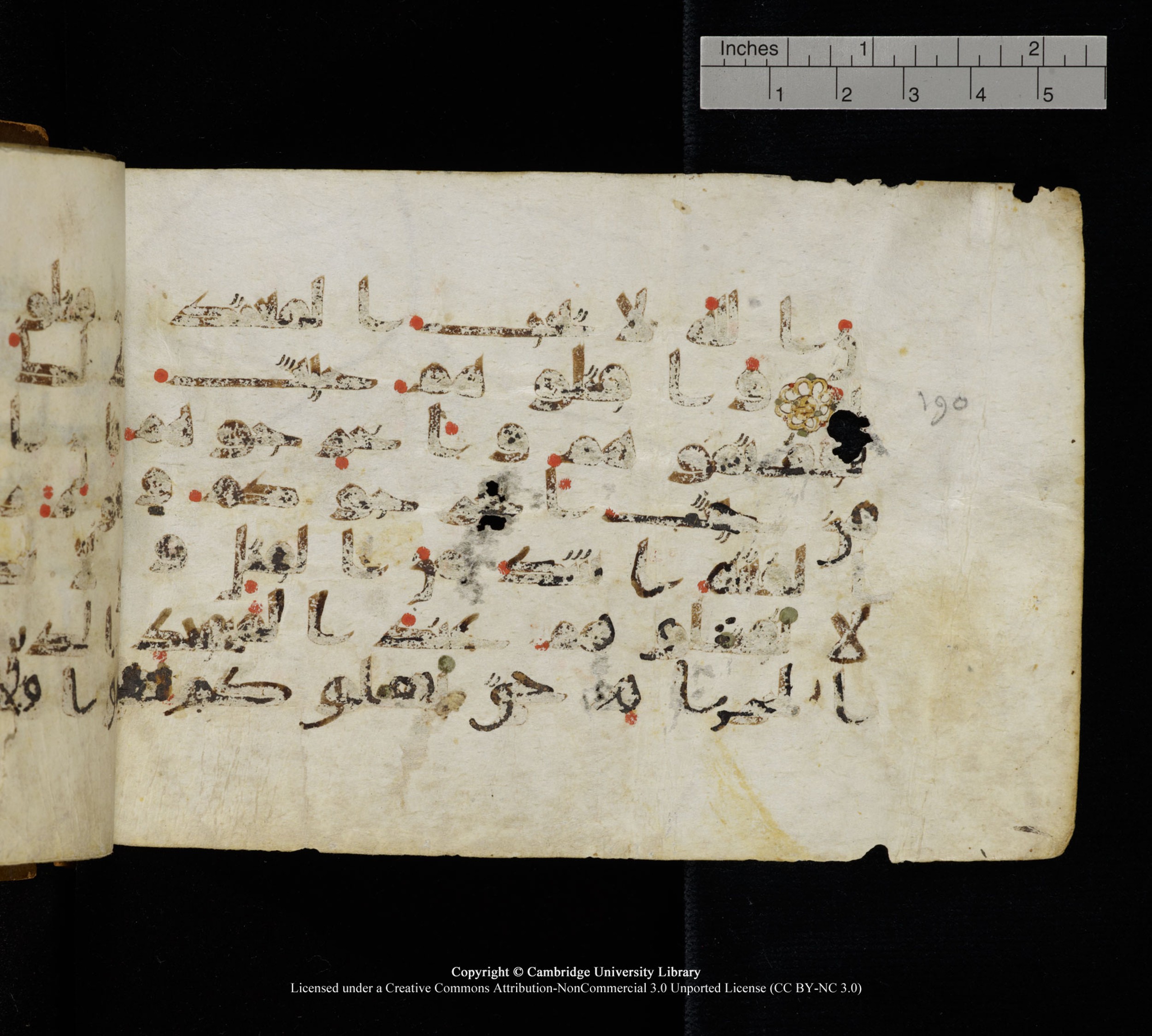 Cambridge, Cambridge University Library, MS Add.1111 (Scan 1), in kūfī D.I / D.IV script, showing Surah 2:191 from 9th or 10th Century AD found in Sinai Peninsula, currently housed at Cambridge University Library, Cambridge