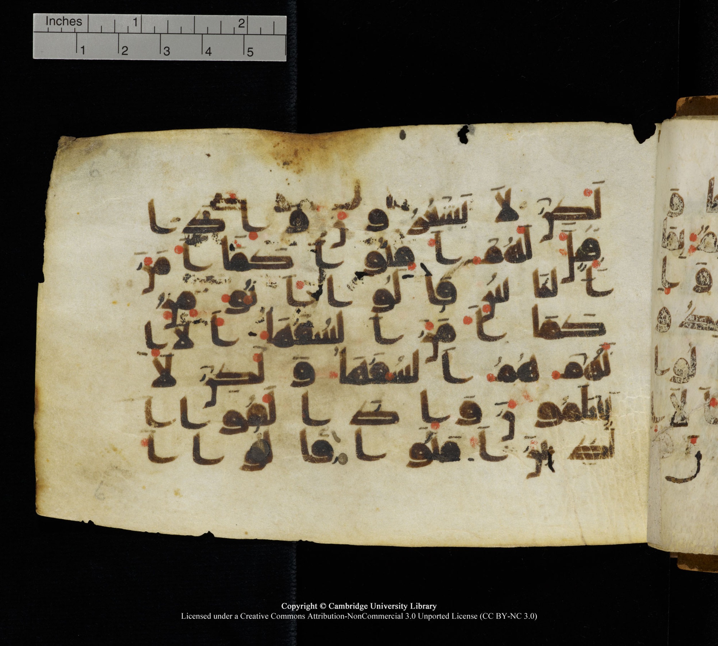 Cambridge, Cambridge University Library, MS Add.1111, in kūfī D.I / D.IV script, showing Surah 2:13 from 9th or 10th Century AD found in Sinai Peninsula, currently housed at Cambridge University Library, Cambridge
