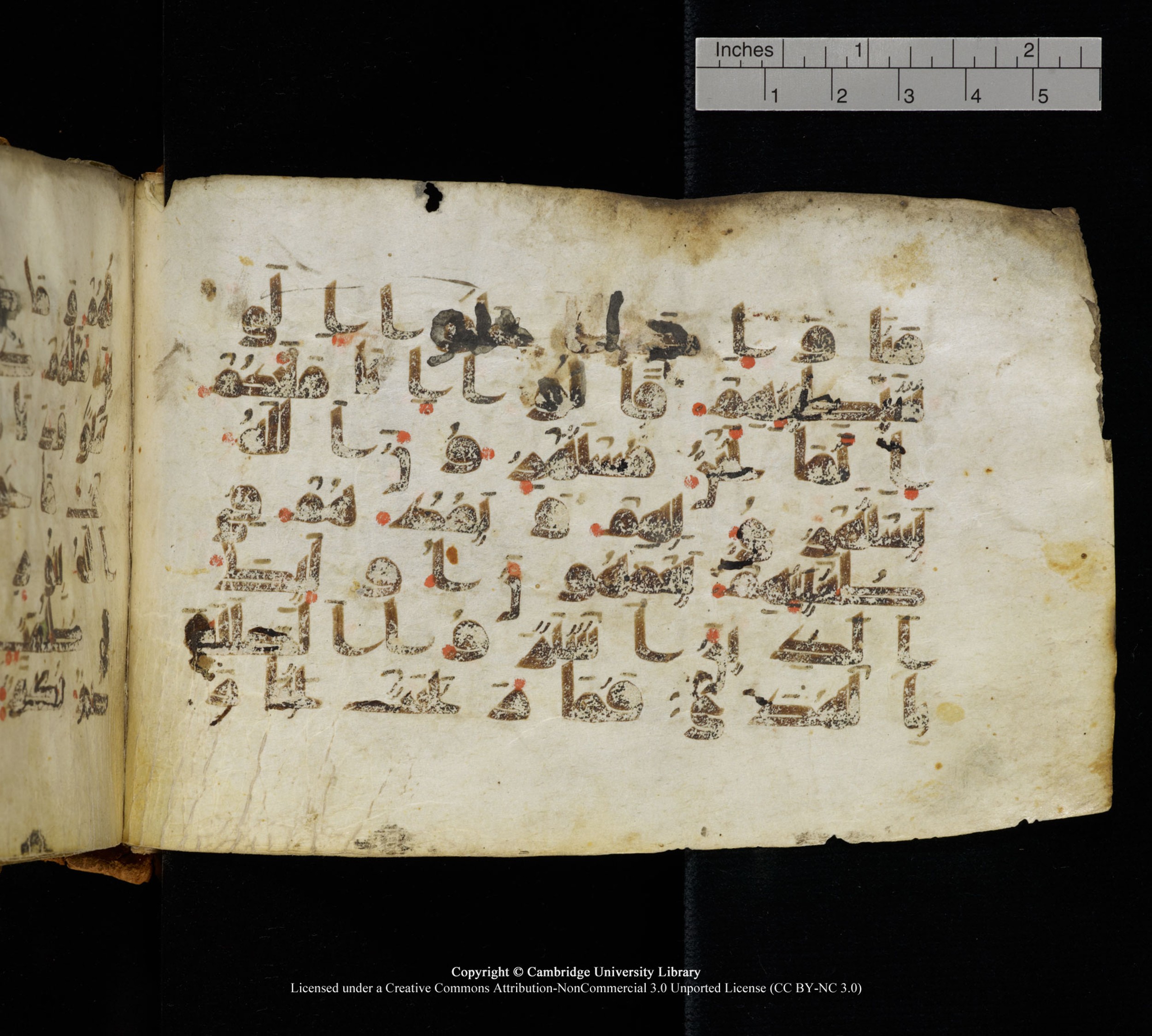 Cambridge, Cambridge University Library, MS Add.1111 (Scan 1), in kūfī D.I / D.IV script, showing Surah 2:16 from 9th or 10th Century AD found in Sinai Peninsula, currently housed at Cambridge University Library, Cambridge