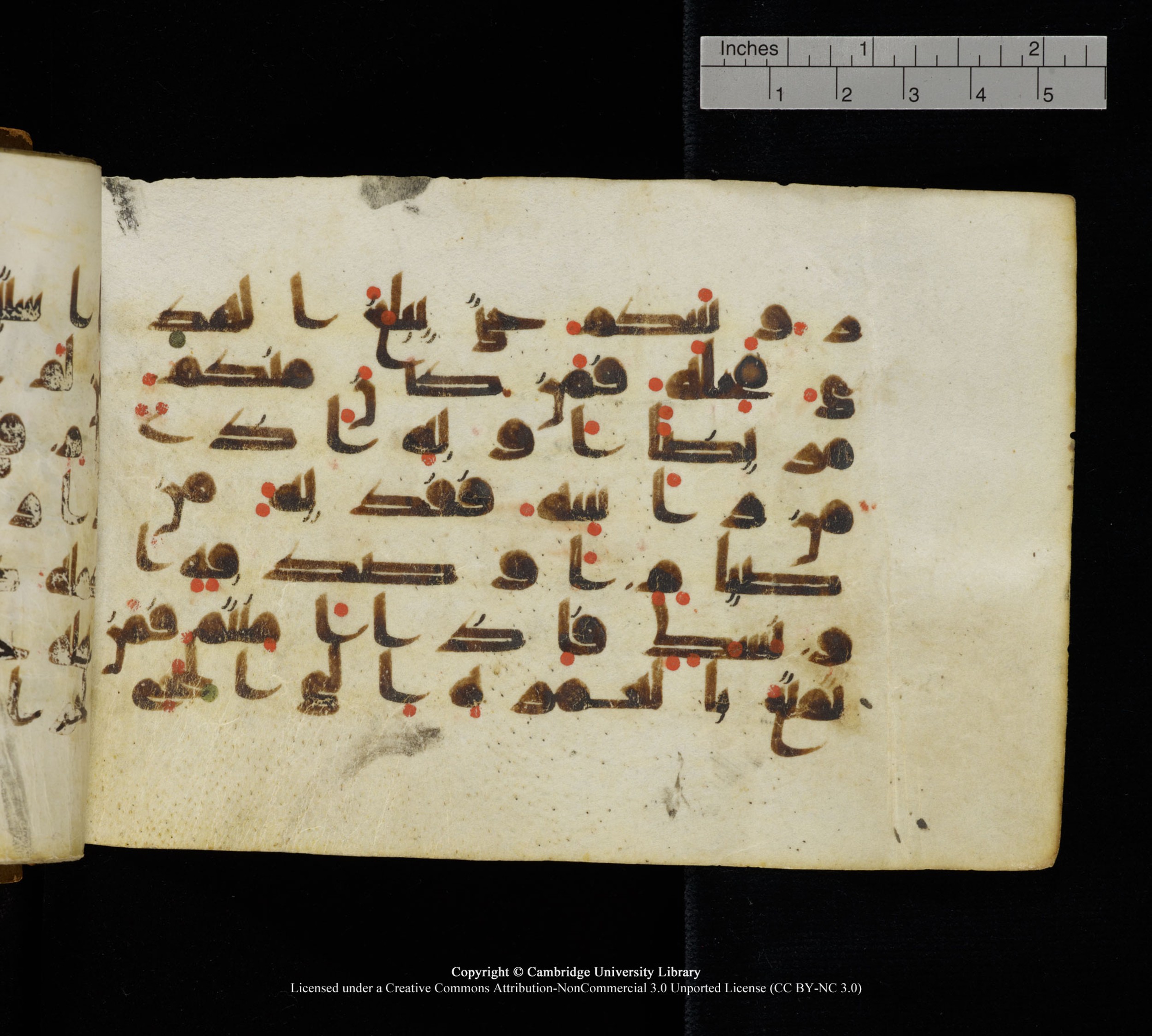 Cambridge, Cambridge University Library, MS Add.1111 (Scan 2), in kūfī D.I / D.IV script, showing Surah 2:196 from 9th or 10th Century AD found in Sinai Peninsula, currently housed at Cambridge University Library, Cambridge