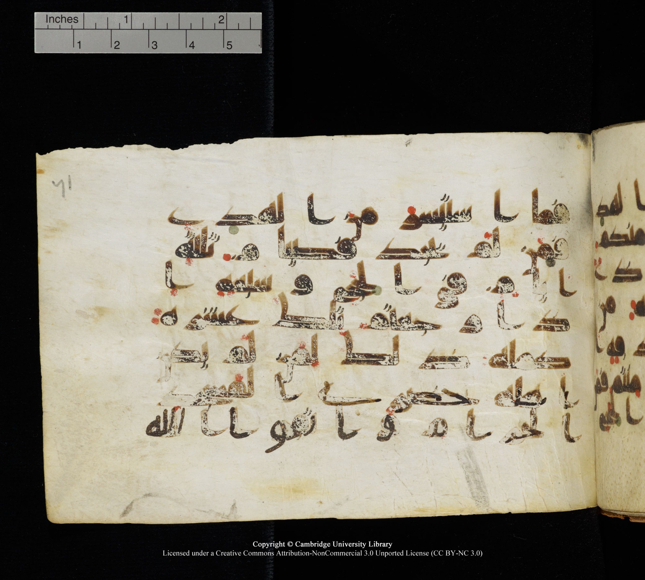Cambridge, Cambridge University Library, MS Add.1111 (Scan 3), in kūfī D.I / D.IV script, showing Surah 2:196 from 9th or 10th Century AD found in Sinai Peninsula, currently housed at Cambridge University Library, Cambridge