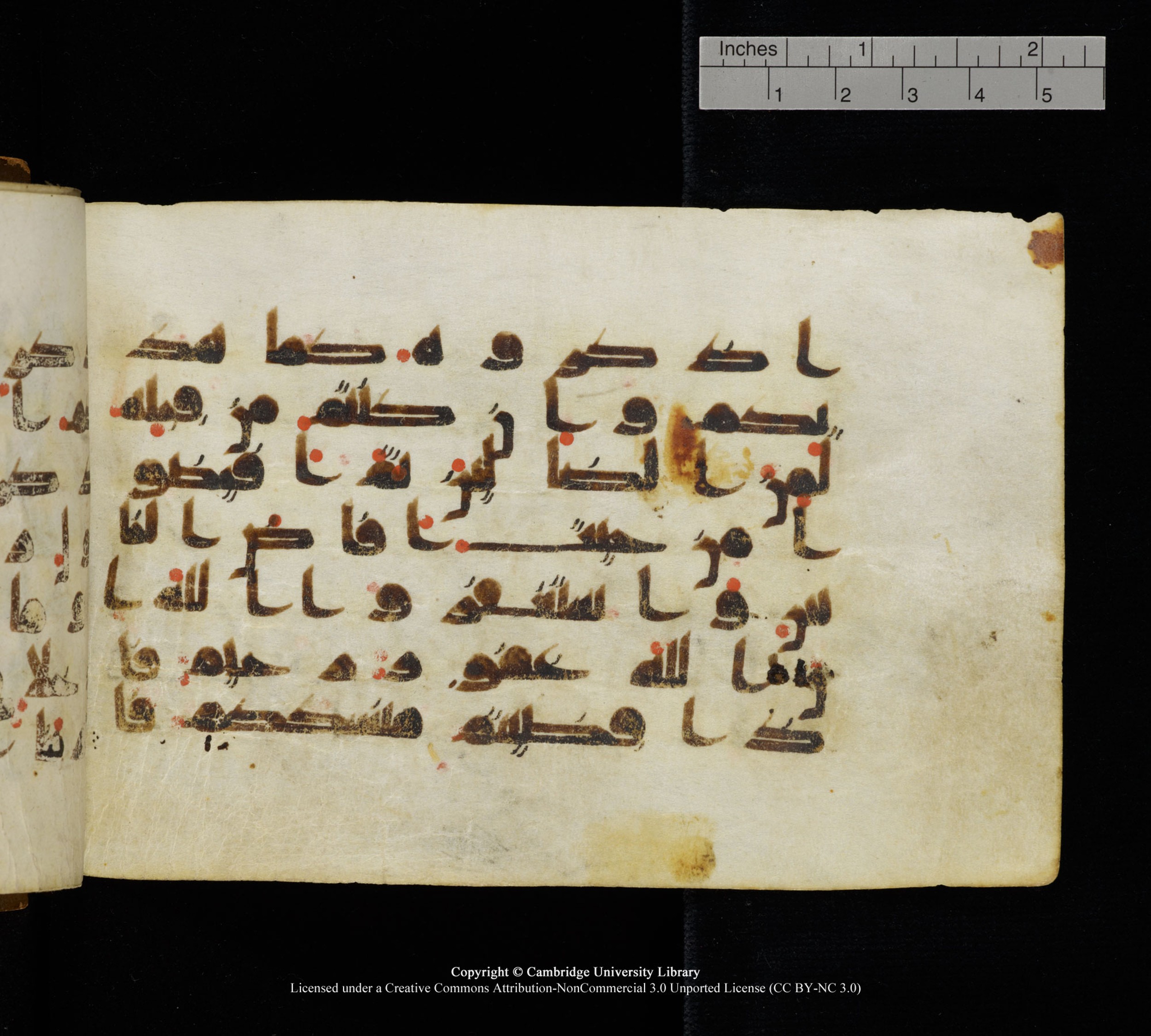 Cambridge, Cambridge University Library, MS Add.1111, in kūfī D.I / D.IV script, showing Surah 2:199 from 9th or 10th Century AD found in Sinai Peninsula, currently housed at Cambridge University Library, Cambridge