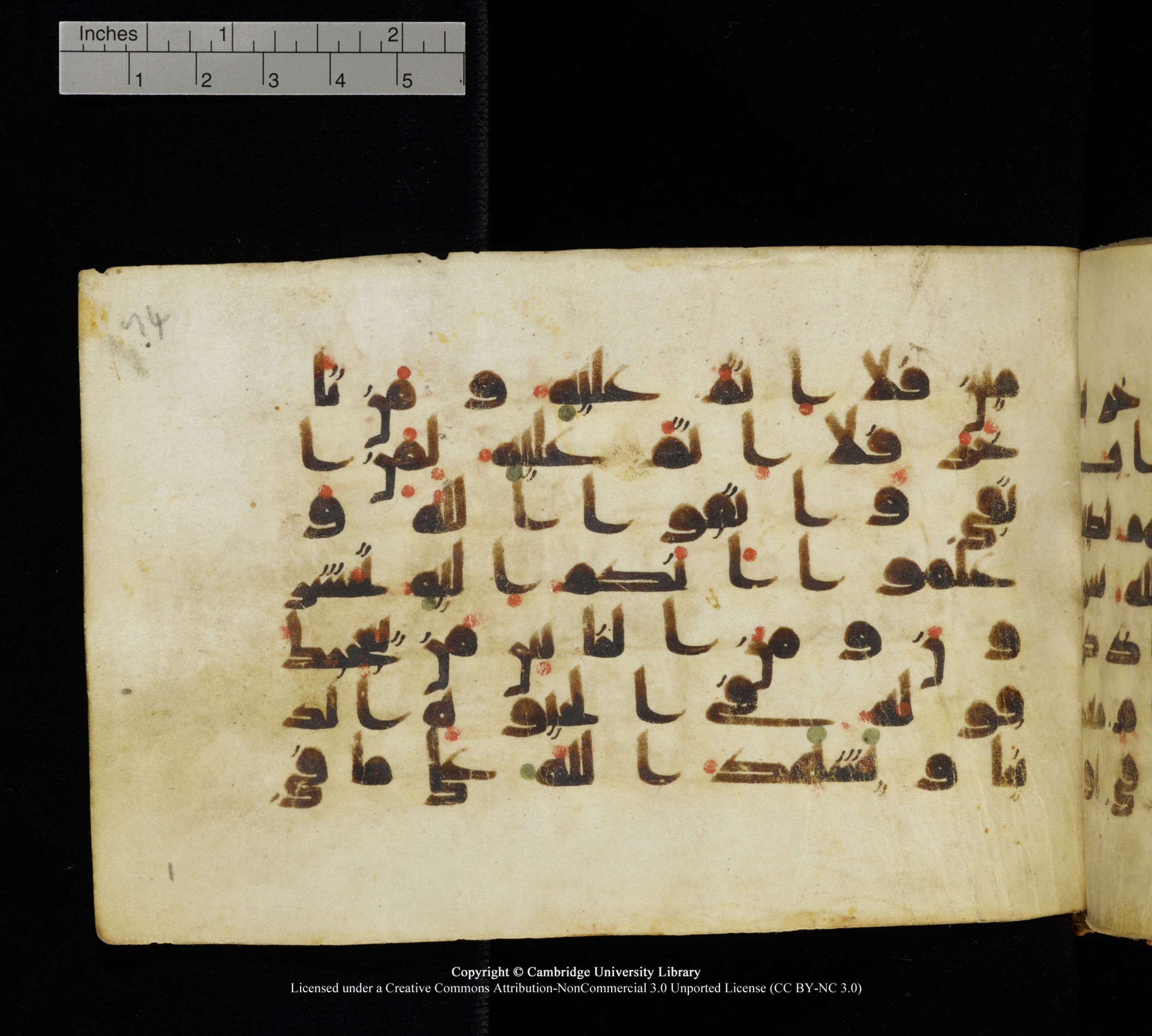 Cambridge, Cambridge University Library, MS Add.1111 (Scan 2), in kūfī D.I / D.IV script, showing Surah 2:203 from 9th or 10th Century AD found in Sinai Peninsula, currently housed at Cambridge University Library, Cambridge