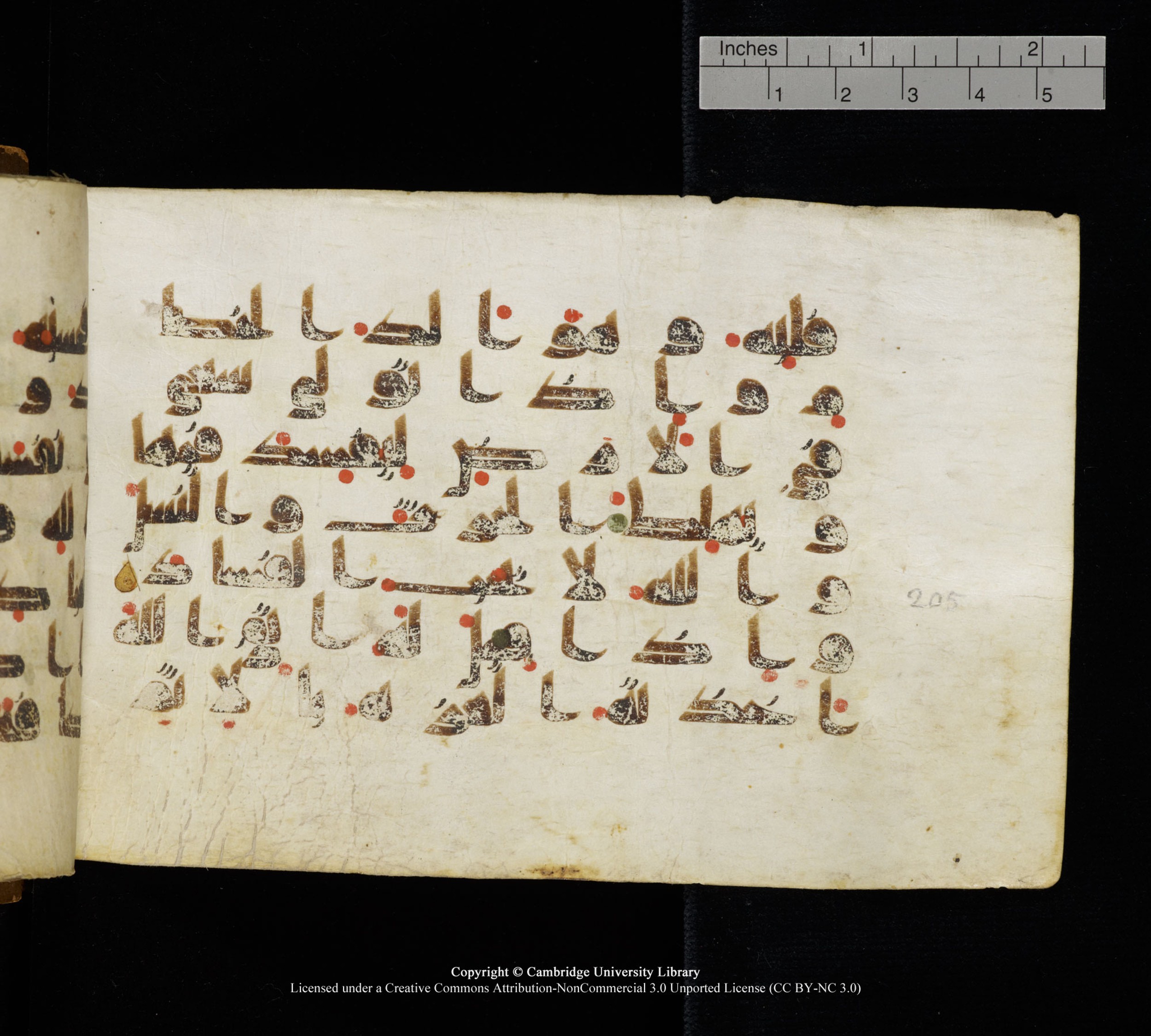Cambridge, Cambridge University Library, MS Add.1111, in kūfī D.I / D.IV script, showing Surah 2:205 from 9th or 10th Century AD found in Sinai Peninsula, currently housed at Cambridge University Library, Cambridge