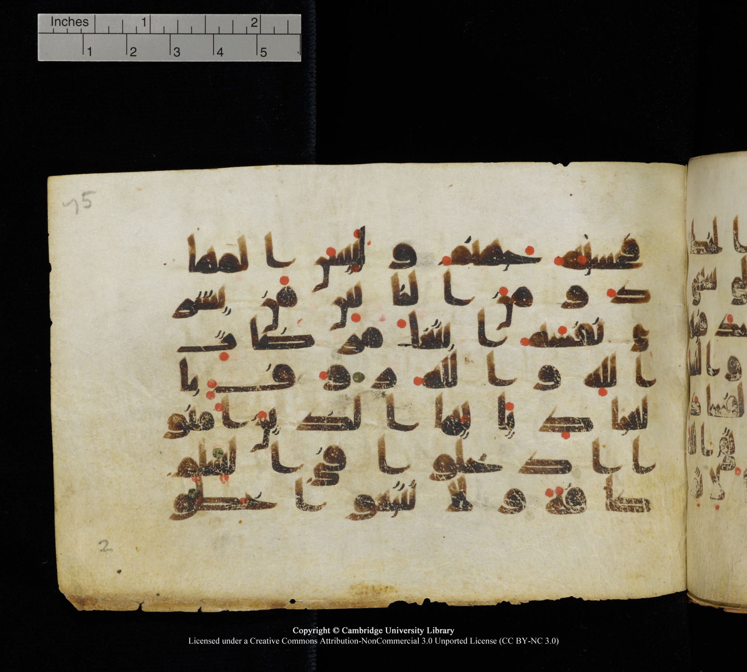 Cambridge, Cambridge University Library, MS Add.1111 (Scan 2), in kūfī D.I / D.IV script, showing Surah 2:206 from 9th or 10th Century AD found in Sinai Peninsula, currently housed at Cambridge University Library, Cambridge