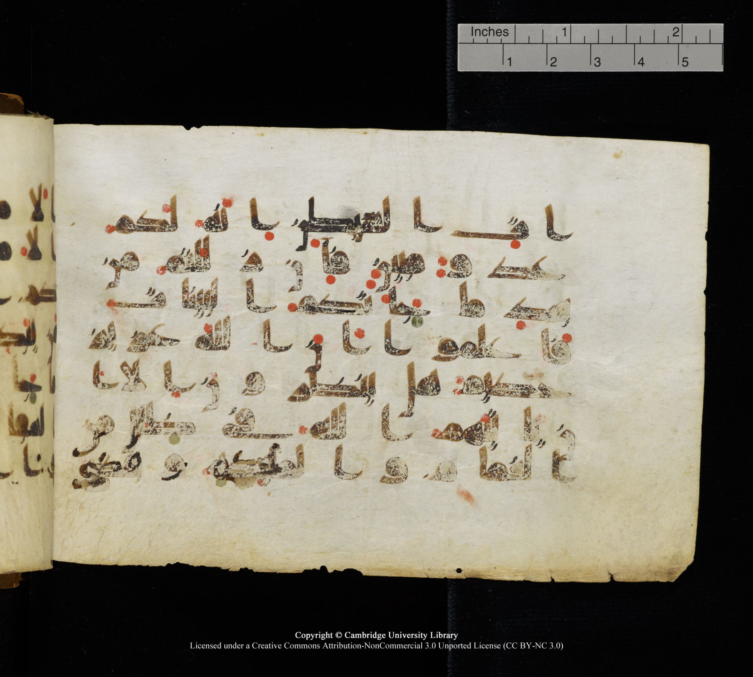 Cambridge, Cambridge University Library, MS Add.1111 (Scan 1), in kūfī D.I / D.IV script, showing Surah 2:210 from 9th or 10th Century AD found in Sinai Peninsula, currently housed at Cambridge University Library, Cambridge