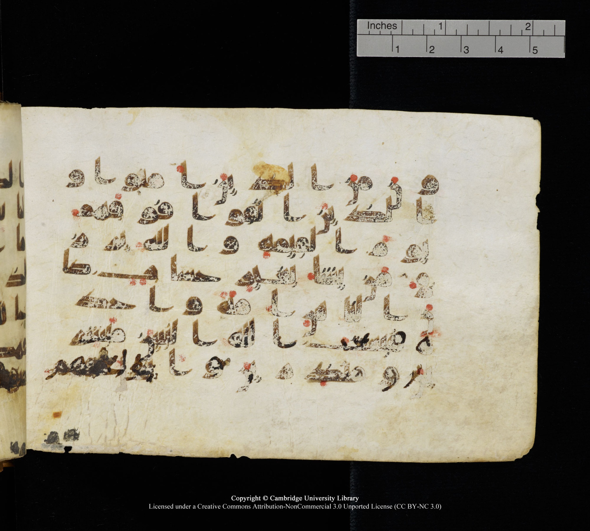 Cambridge, Cambridge University Library, MS Add.1111 (Scan 1), in kūfī D.I / D.IV script, showing Surah 2:213 from 9th or 10th Century AD found in Sinai Peninsula, currently housed at Cambridge University Library, Cambridge