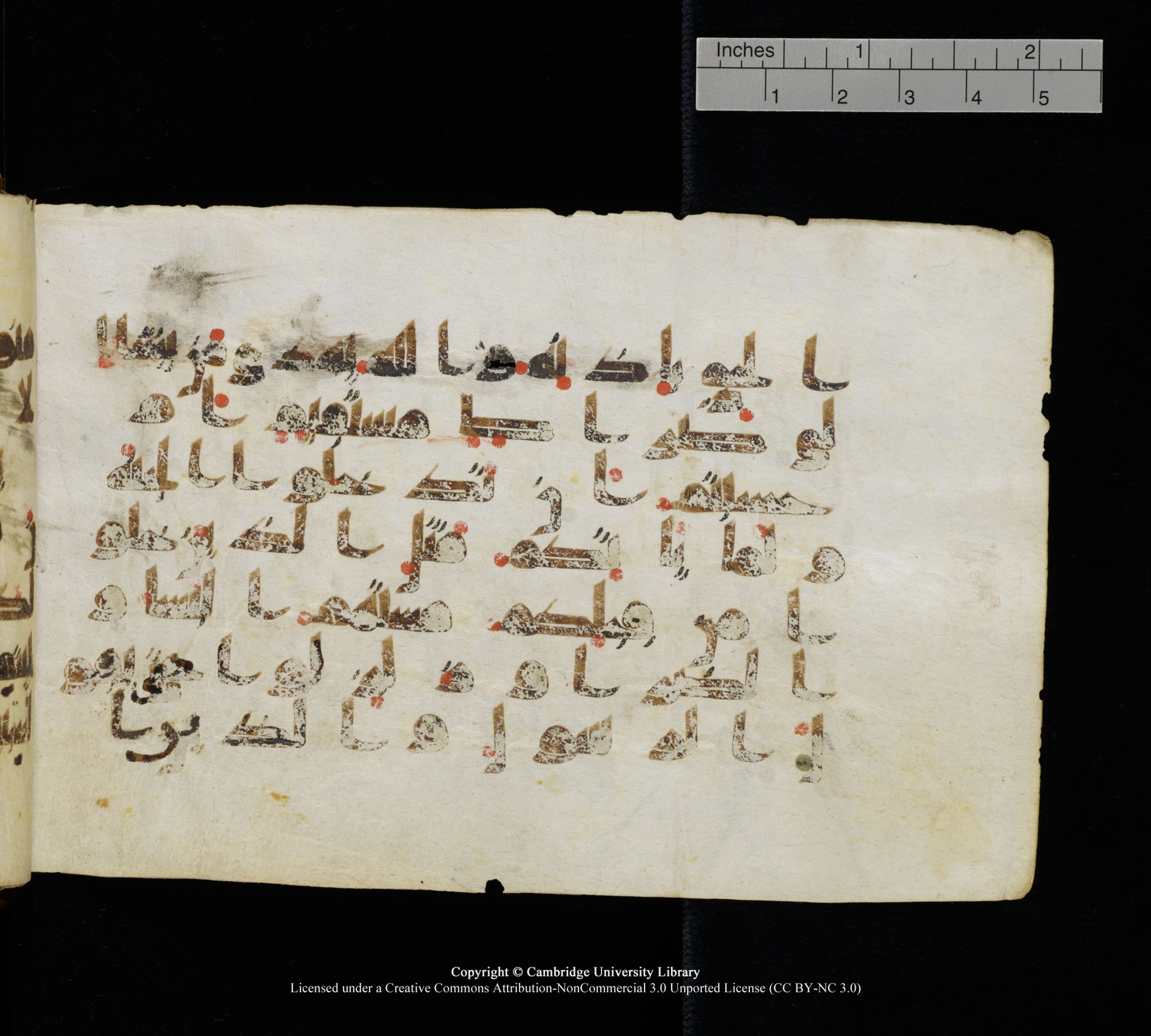Cambridge, Cambridge University Library, MS Add.1111 (Scan 3), in kūfī D.I / D.IV script, showing Surah 2:213 from 9th or 10th Century AD found in Sinai Peninsula, currently housed at Cambridge University Library, Cambridge