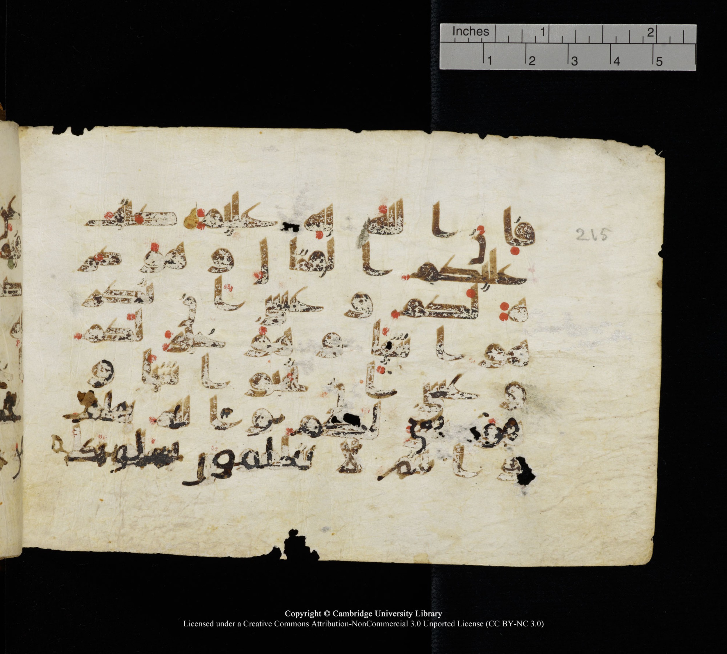 Cambridge, Cambridge University Library, MS Add.1111 (Scan 1), in kūfī D.I / D.IV script, showing Surah 2:217 from 9th or 10th Century AD found in Sinai Peninsula, currently housed at Cambridge University Library, Cambridge