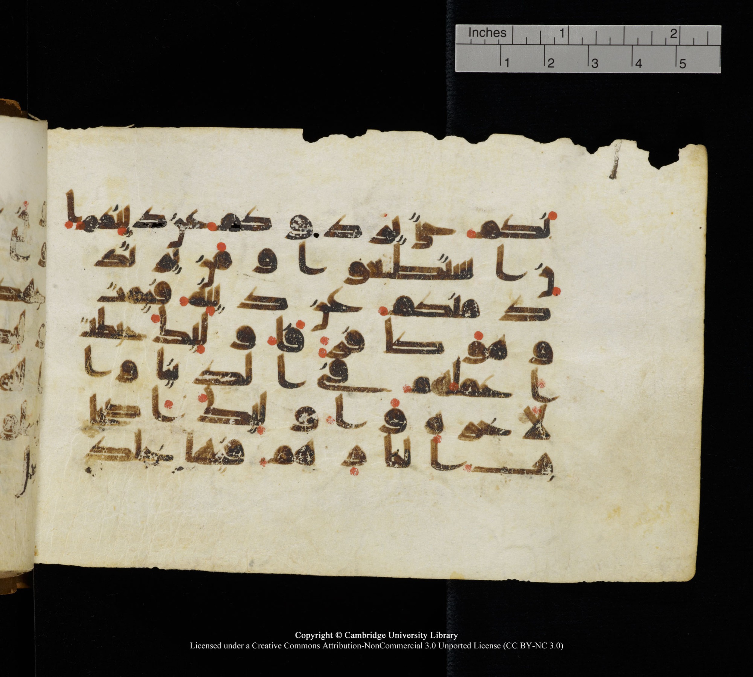 Cambridge, Cambridge University Library, MS Add.1111 (Scan 3), in kūfī D.I / D.IV script, showing Surah 2:217 from 9th or 10th Century AD found in Sinai Peninsula, currently housed at Cambridge University Library, Cambridge