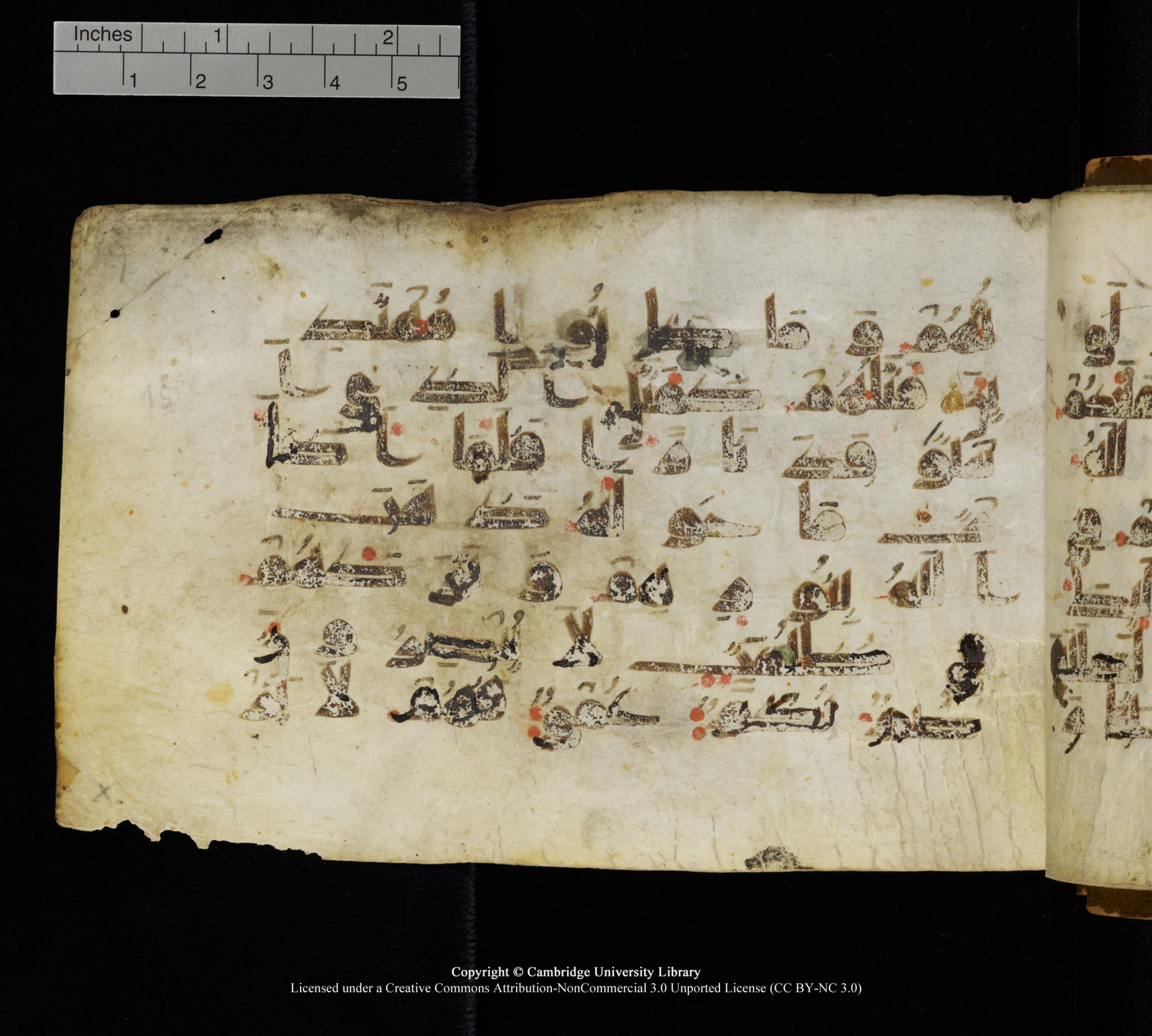 Cambridge, Cambridge University Library, MS Add.1111 (Scan 2), in kūfī D.I / D.IV script, showing Surah 2:16 from 9th or 10th Century AD found in Sinai Peninsula, currently housed at Cambridge University Library, Cambridge