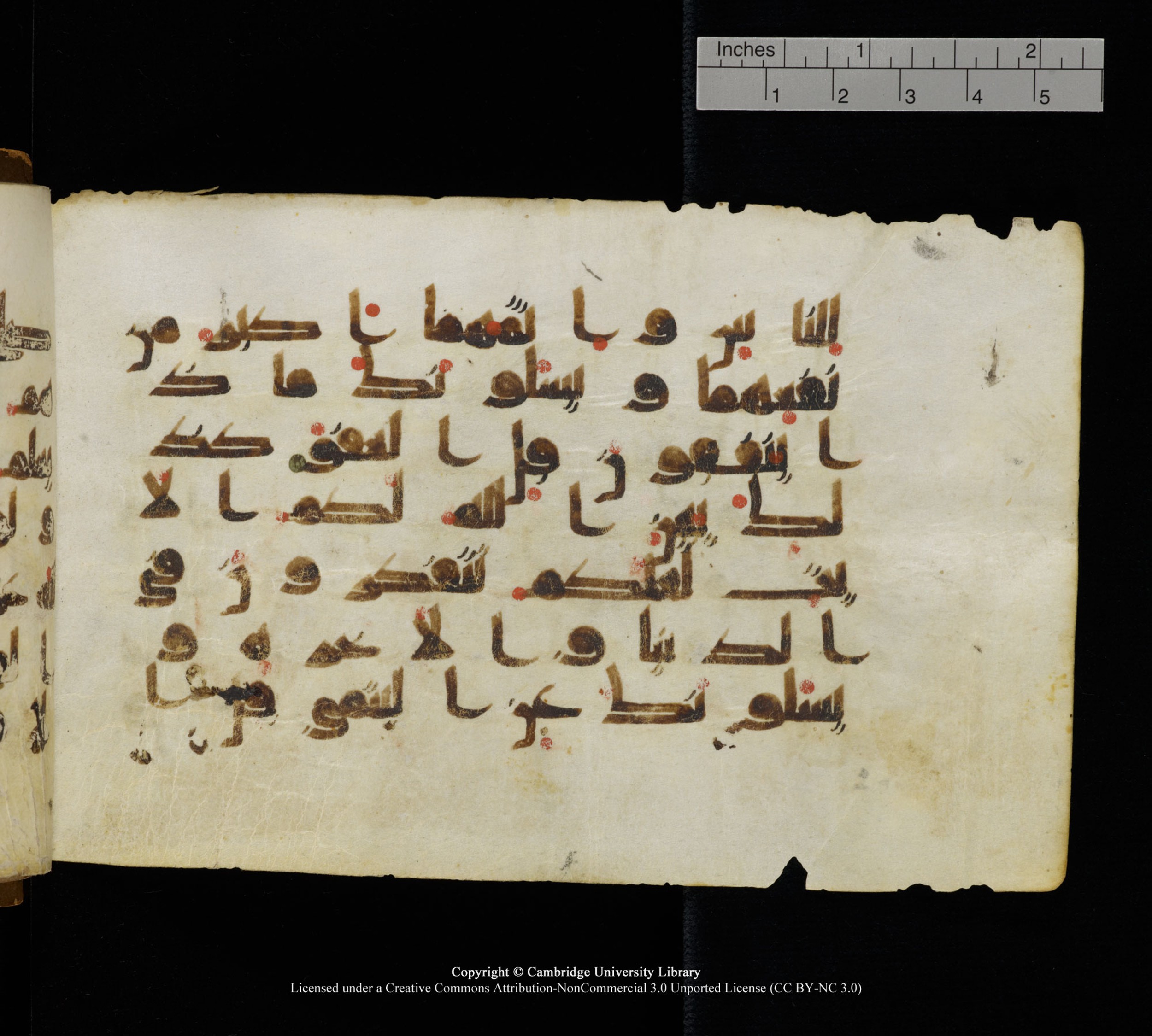 Cambridge, Cambridge University Library, MS Add.1111 (Scan 1), in kūfī D.I / D.IV script, showing Surah 2:220 from 9th or 10th Century AD found in Sinai Peninsula, currently housed at Cambridge University Library, Cambridge
