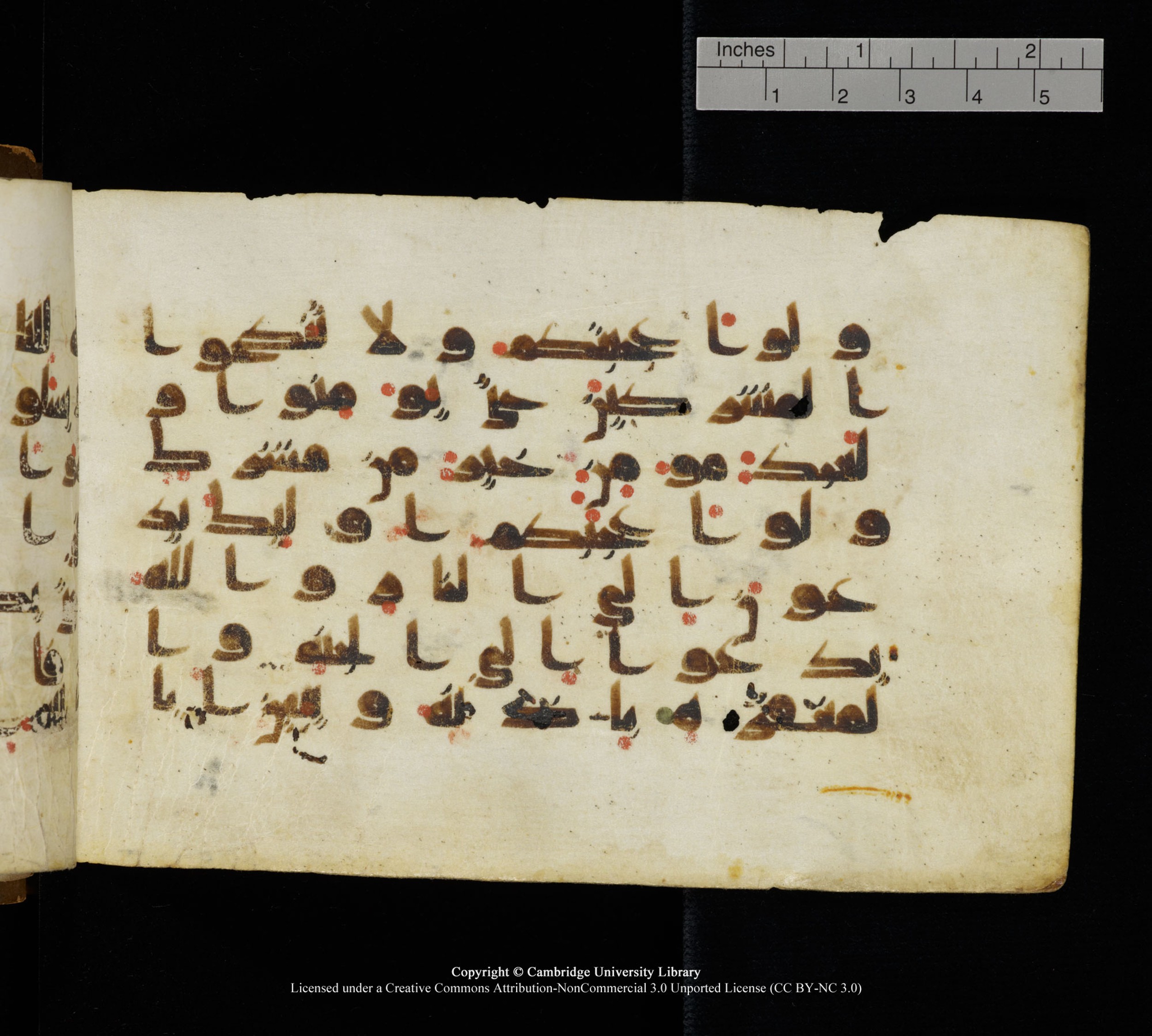Cambridge, Cambridge University Library, MS Add.1111 (Scan 2), in kūfī D.I / D.IV script, showing Surah 2:221 from 9th or 10th Century AD found in Sinai Peninsula, currently housed at Cambridge University Library, Cambridge