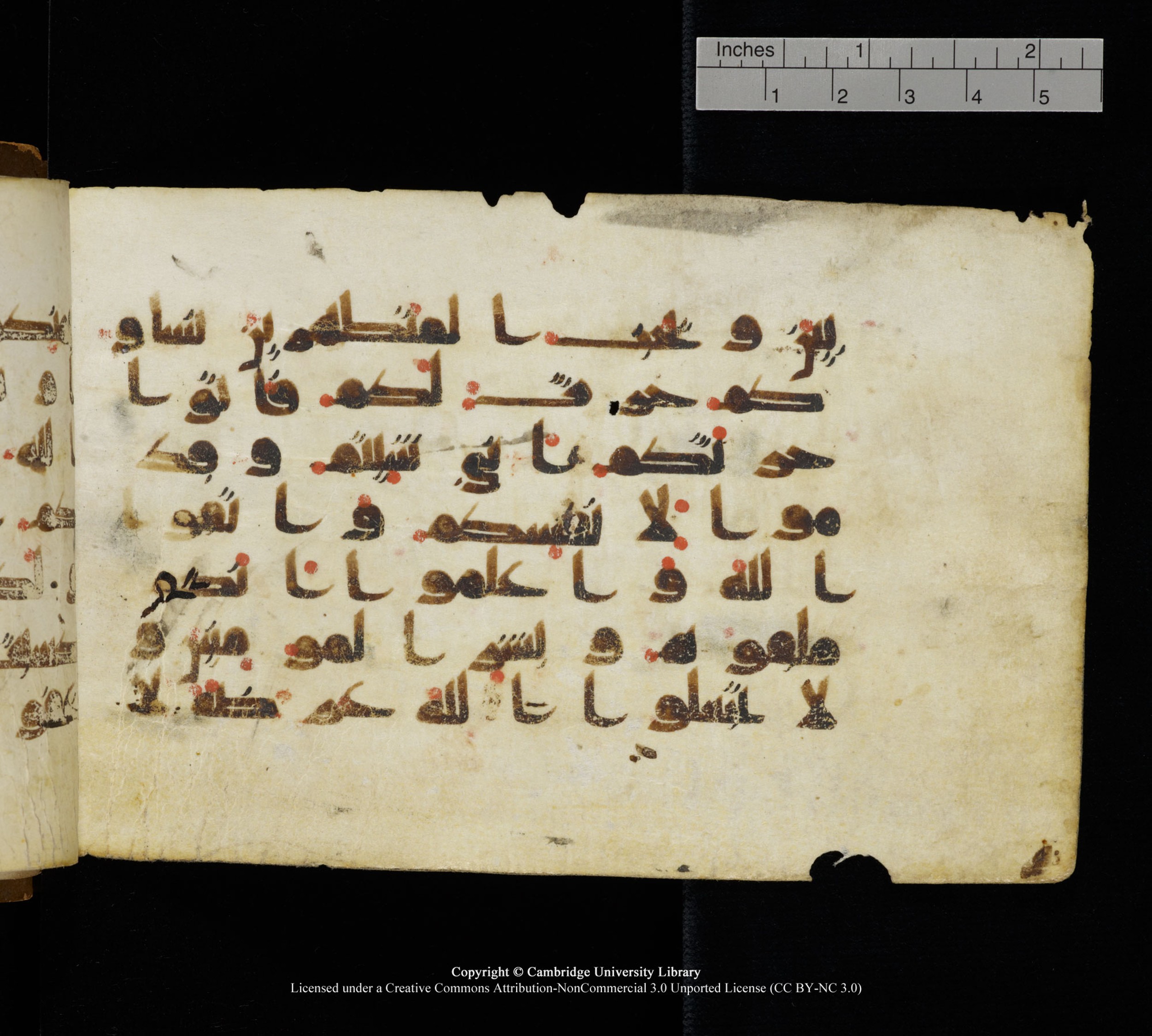 Cambridge, Cambridge University Library, MS Add.1111 (Scan 1), in kūfī D.I / D.IV script, showing Surah 2:224 from 9th or 10th Century AD found in Sinai Peninsula, currently housed at Cambridge University Library, Cambridge
