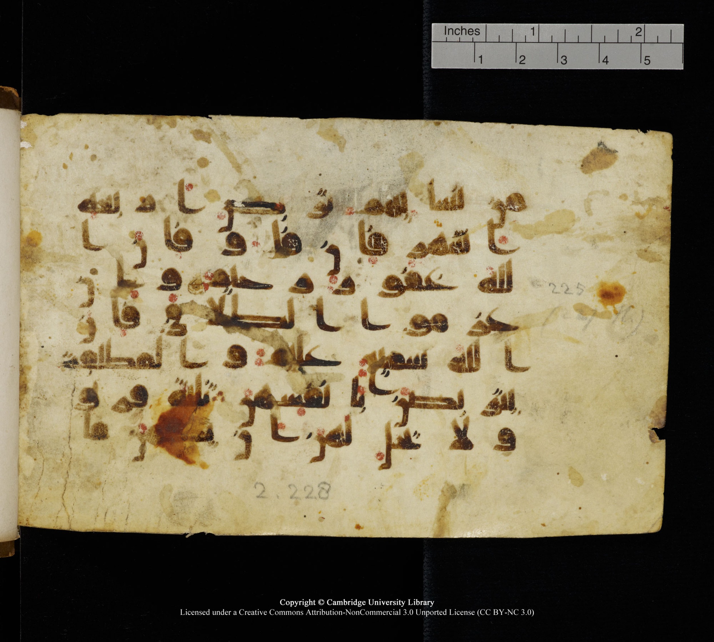 Cambridge, Cambridge University Library, MS Add.1111, in kūfī D.I / D.IV script, showing Surah 2:227 from 9th or 10th Century AD found in Sinai Peninsula, currently housed at Cambridge University Library, Cambridge