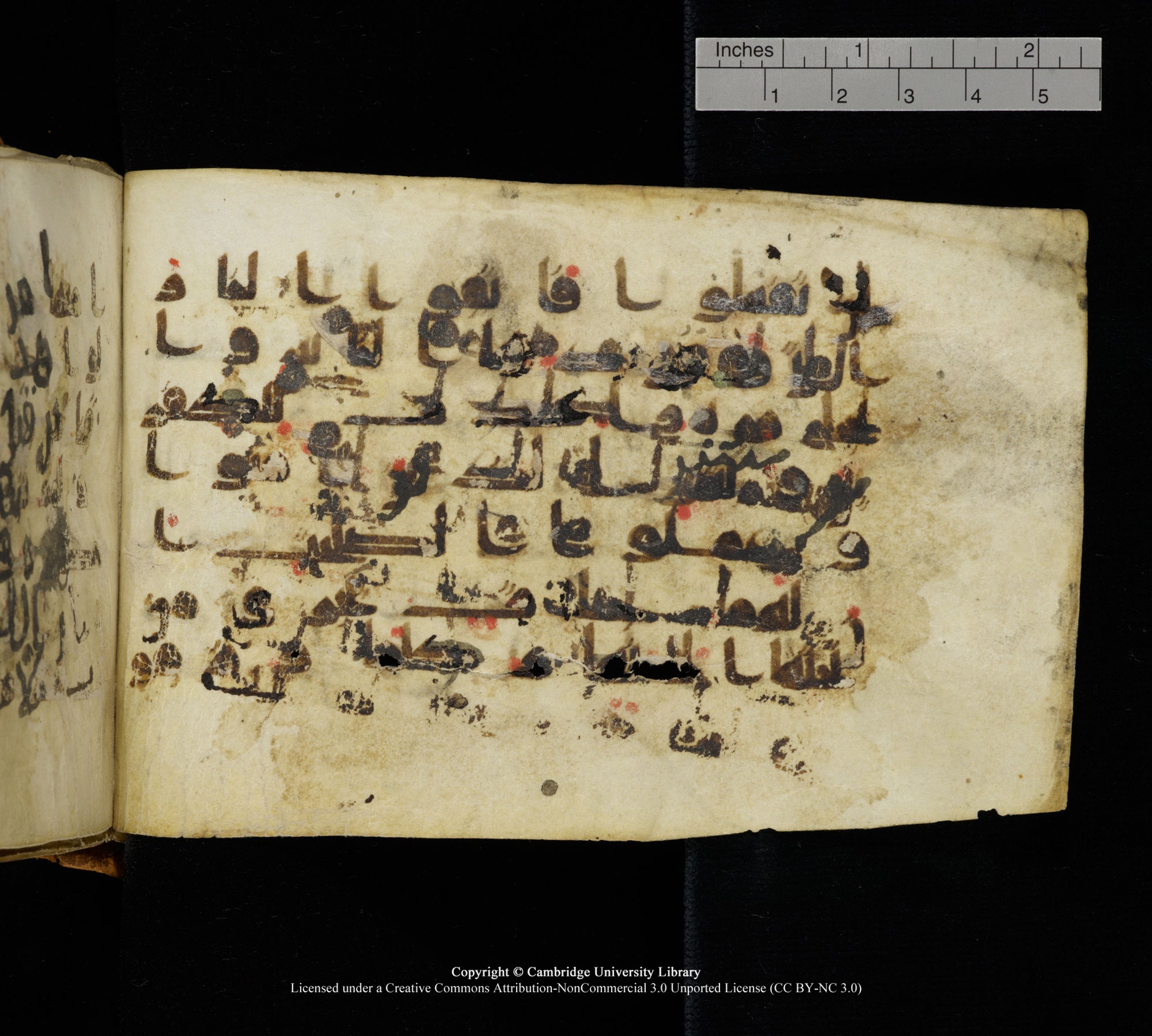 Cambridge, Cambridge University Library, MS Add.1111 (Scan 2), in kūfī D.I / D.IV script, showing Surah 2:24 from 9th or 10th Century AD found in Sinai Peninsula, currently housed at Cambridge University Library, Cambridge